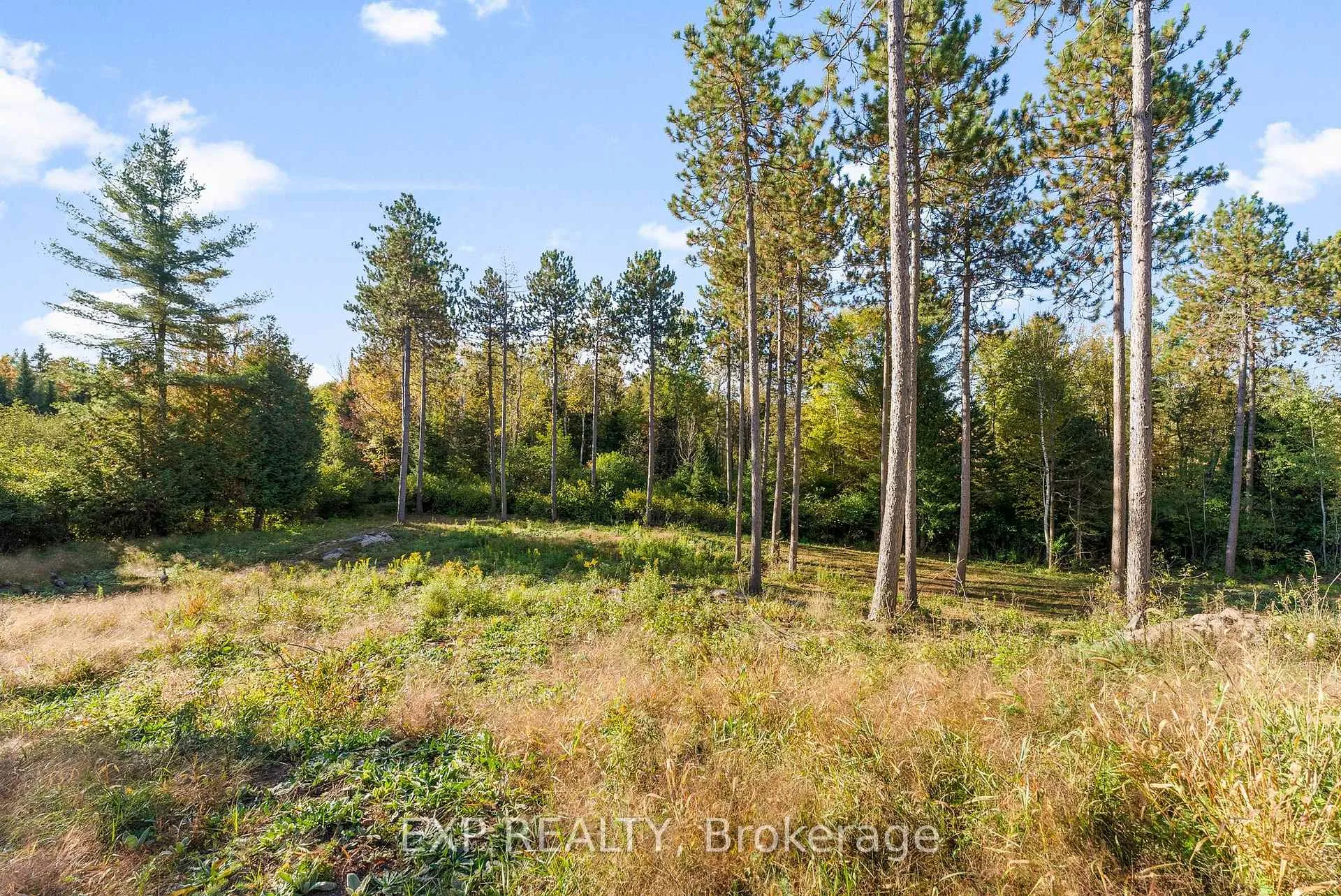 Photo 5 of 413 Swamp Road, Admaston/Bromley, Admaston/Bromley — HOMEH