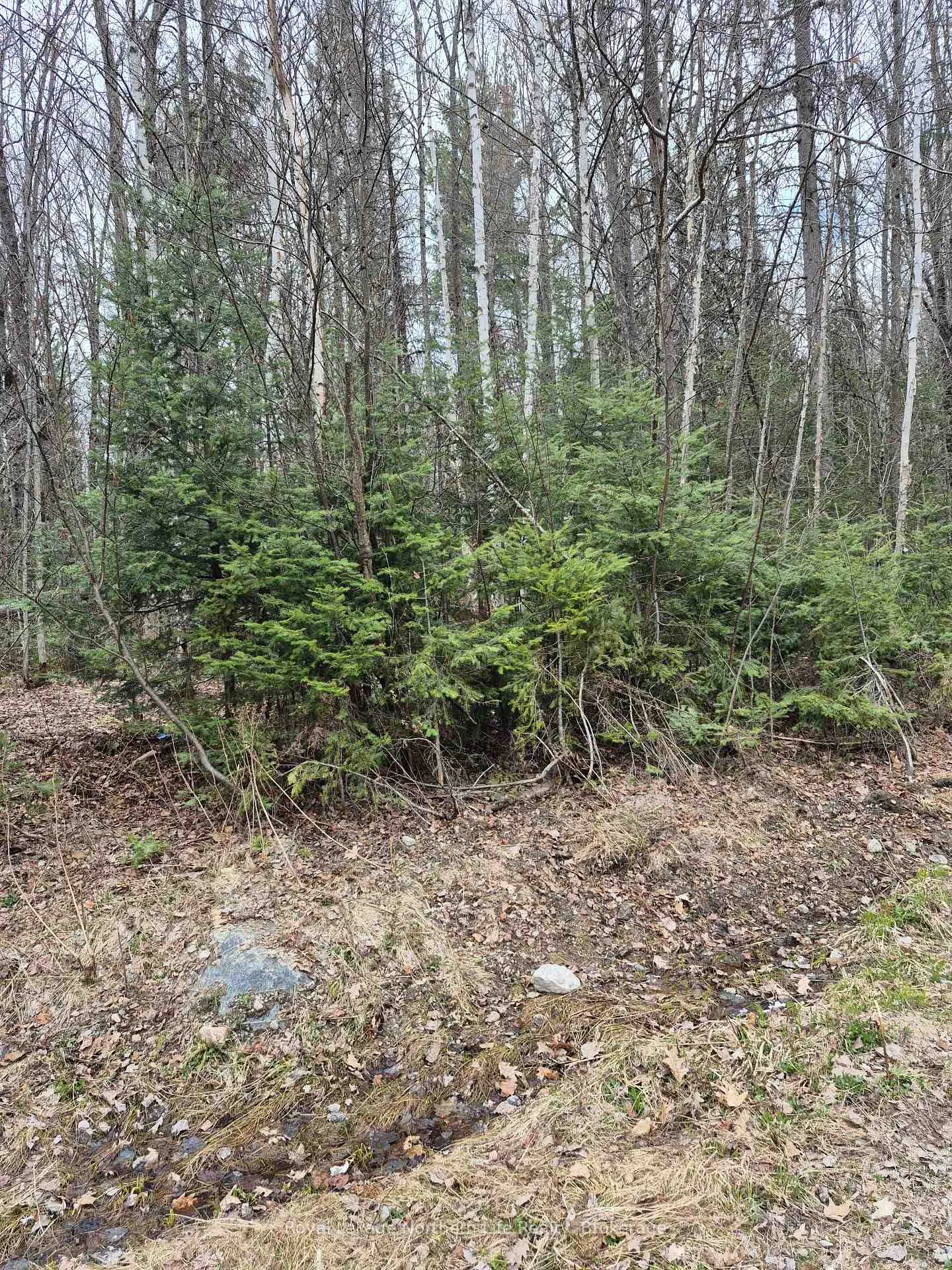 Front of LOT 5 Arbutus Trail