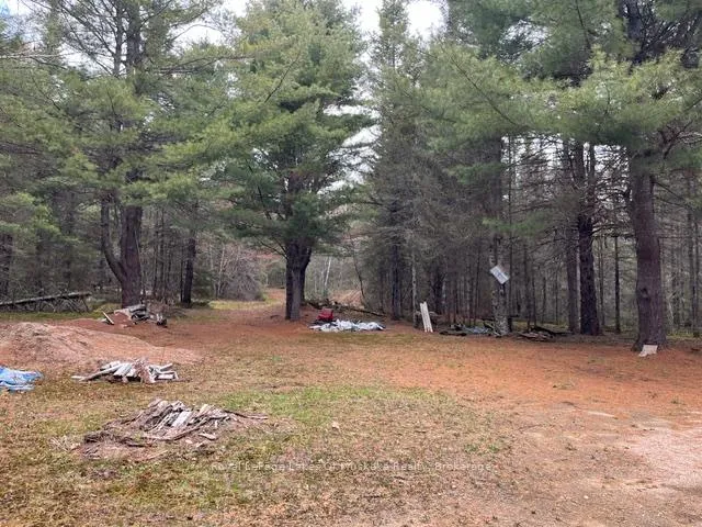 Photo 5 of 796 Scarlett Road, Machar — HOMEH