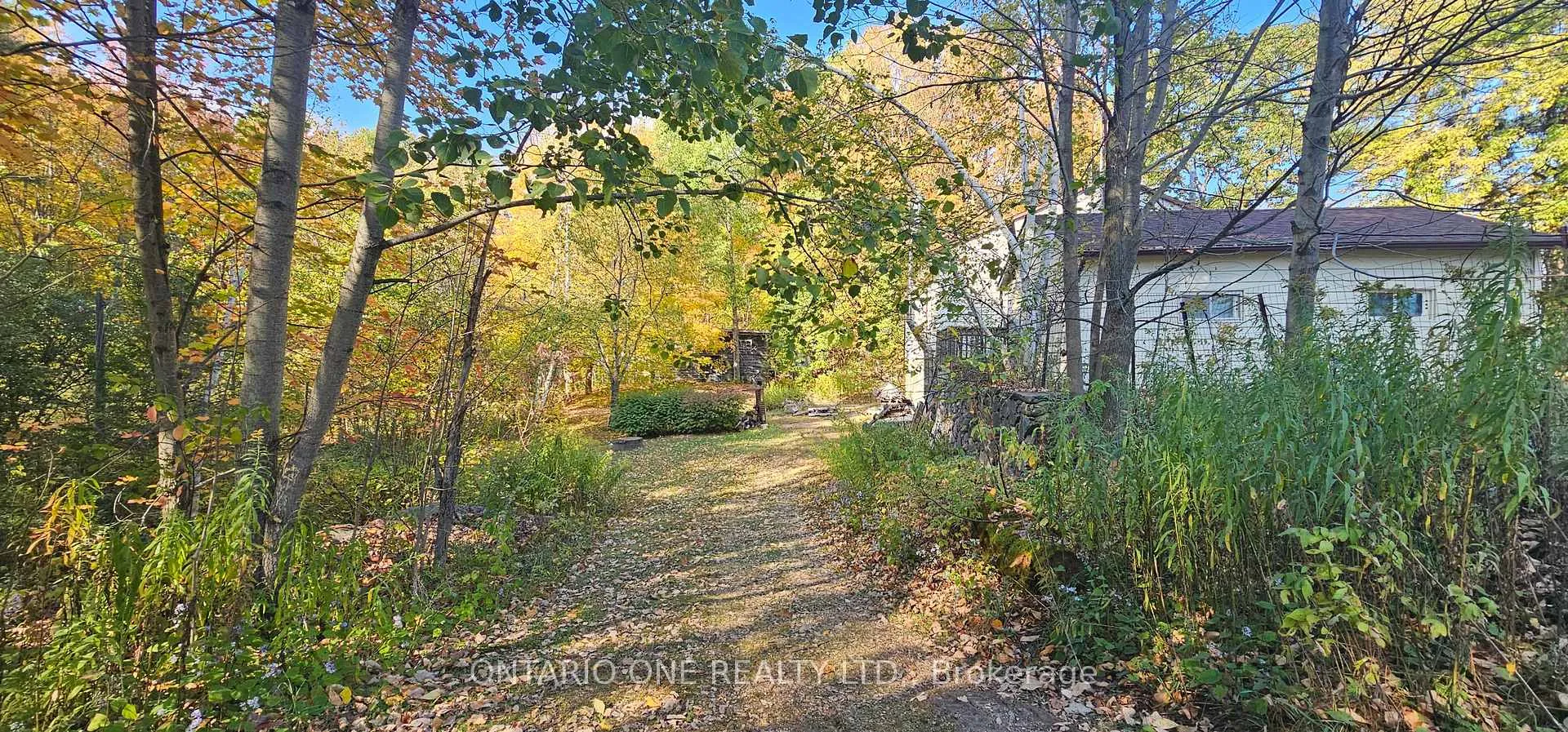 Photo 6 of 1479 11 Highway S, Gravenhurst, Morrison — HOMEH