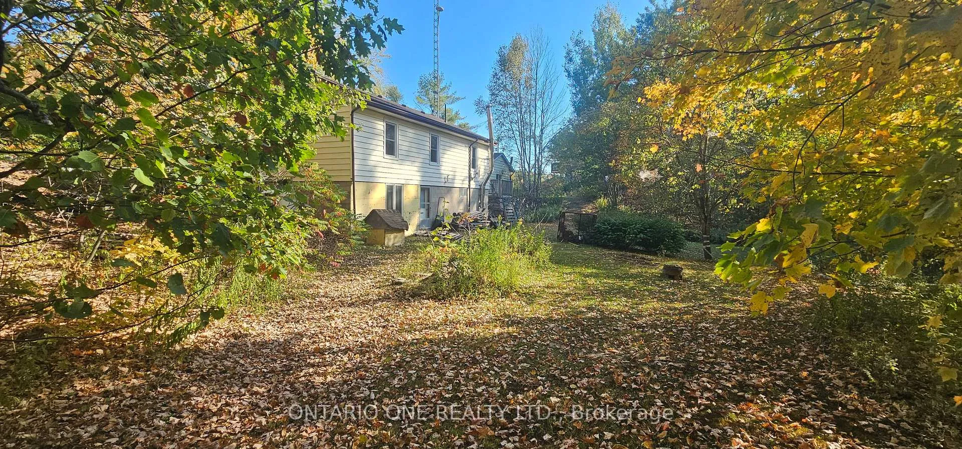 Photo 28 of 1479 11 Highway S, Gravenhurst, Morrison — HOMEH