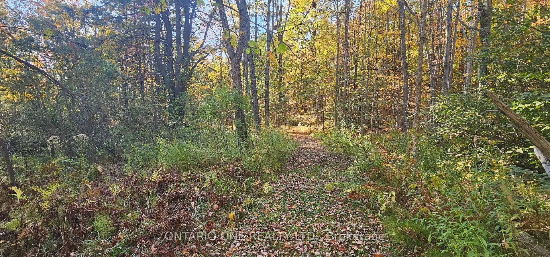Photo 31 of 1479 11 Highway S, Gravenhurst, Morrison — HOMEH
