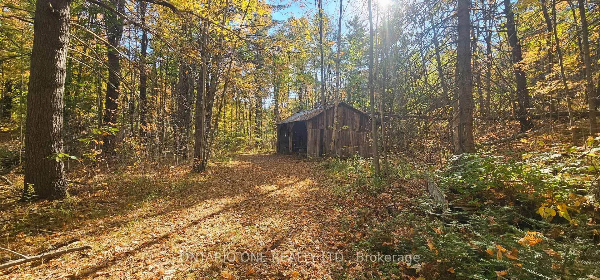 Photo 32 of 1479 11 Highway S, Gravenhurst, Morrison — HOMEH