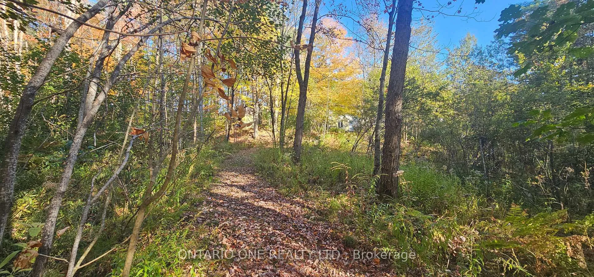Photo 35 of 1479 11 Highway S, Gravenhurst, Morrison — HOMEH