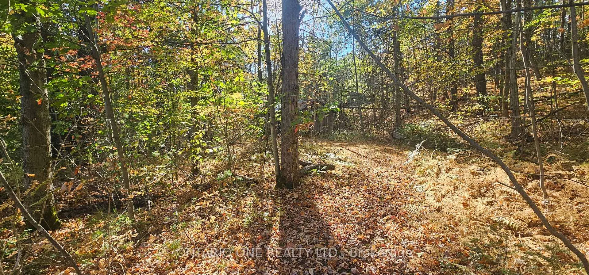 Photo 36 of 1479 11 Highway S, Gravenhurst, Morrison — HOMEH