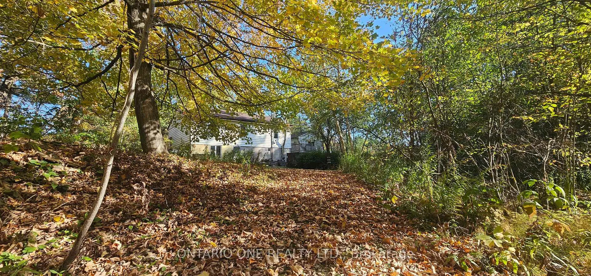 Photo 37 of 1479 11 Highway S, Gravenhurst, Morrison — HOMEH