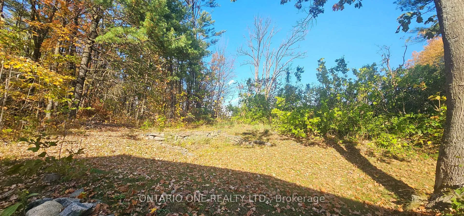 Photo 38 of 1479 11 Highway S, Gravenhurst, Morrison — HOMEH