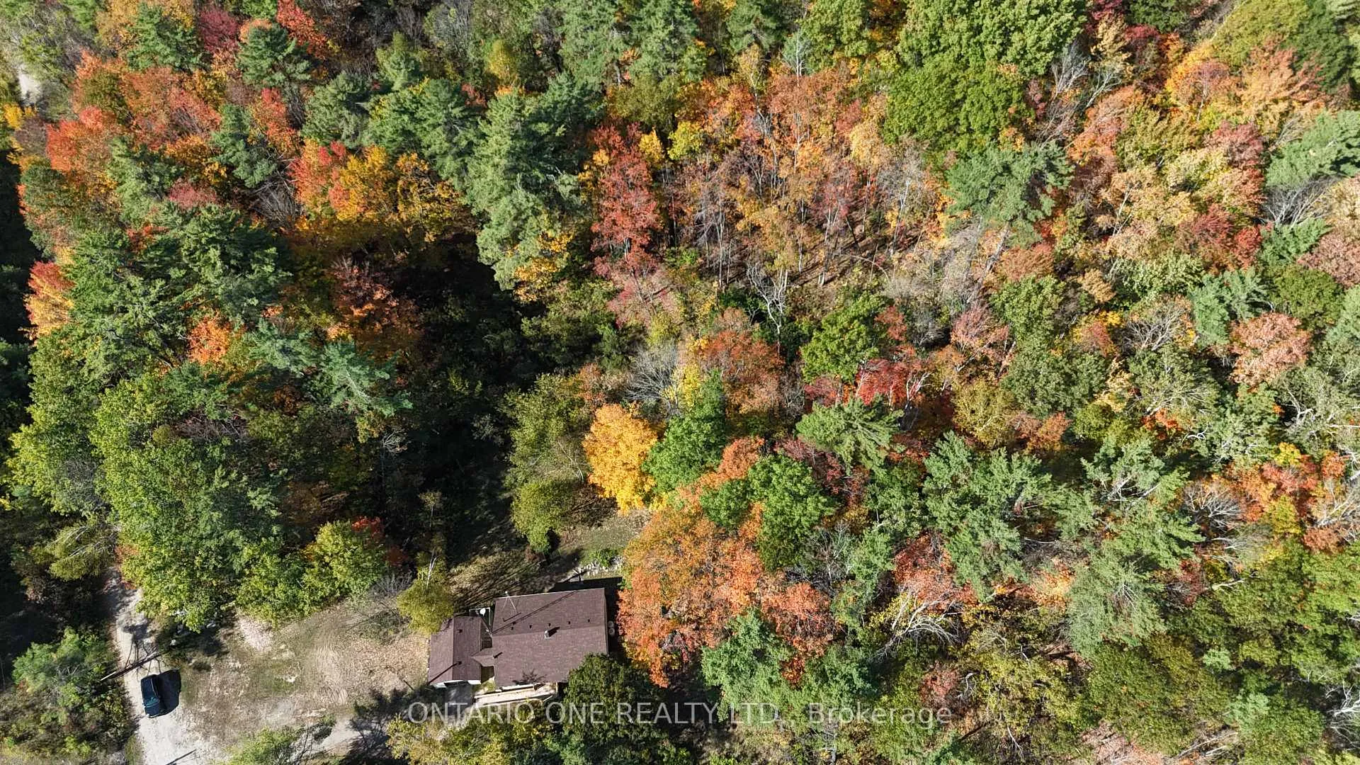 Photo 39 of 1479 11 Highway S, Gravenhurst, Morrison — HOMEH