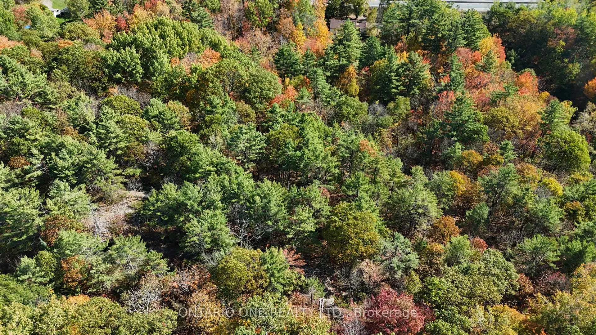 Photo 40 of 1479 11 Highway S, Gravenhurst, Morrison — HOMEH