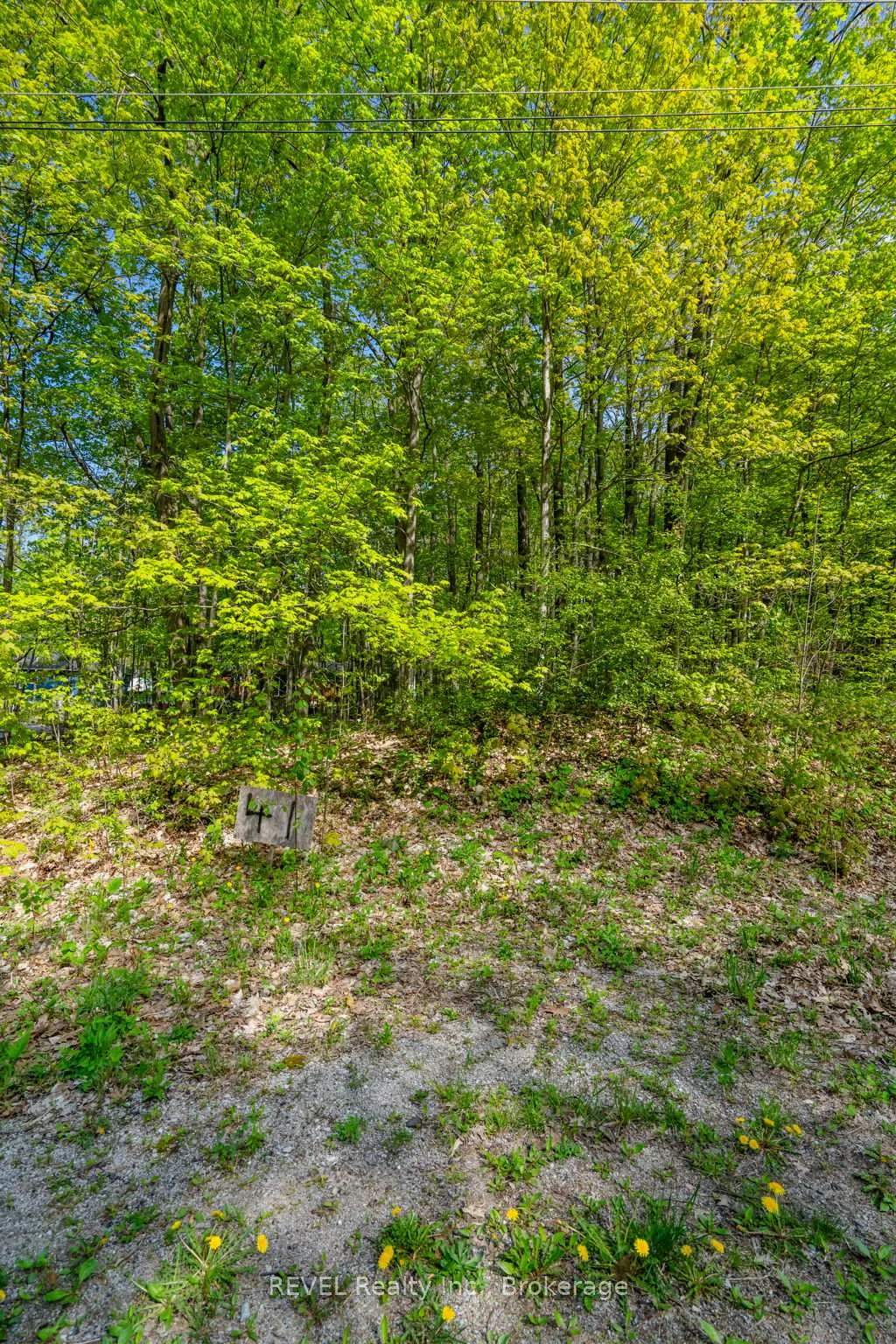 Photo 8 of LOT 41 Wakunda Crescent, Tiny, Rural Tiny — HOMEH
