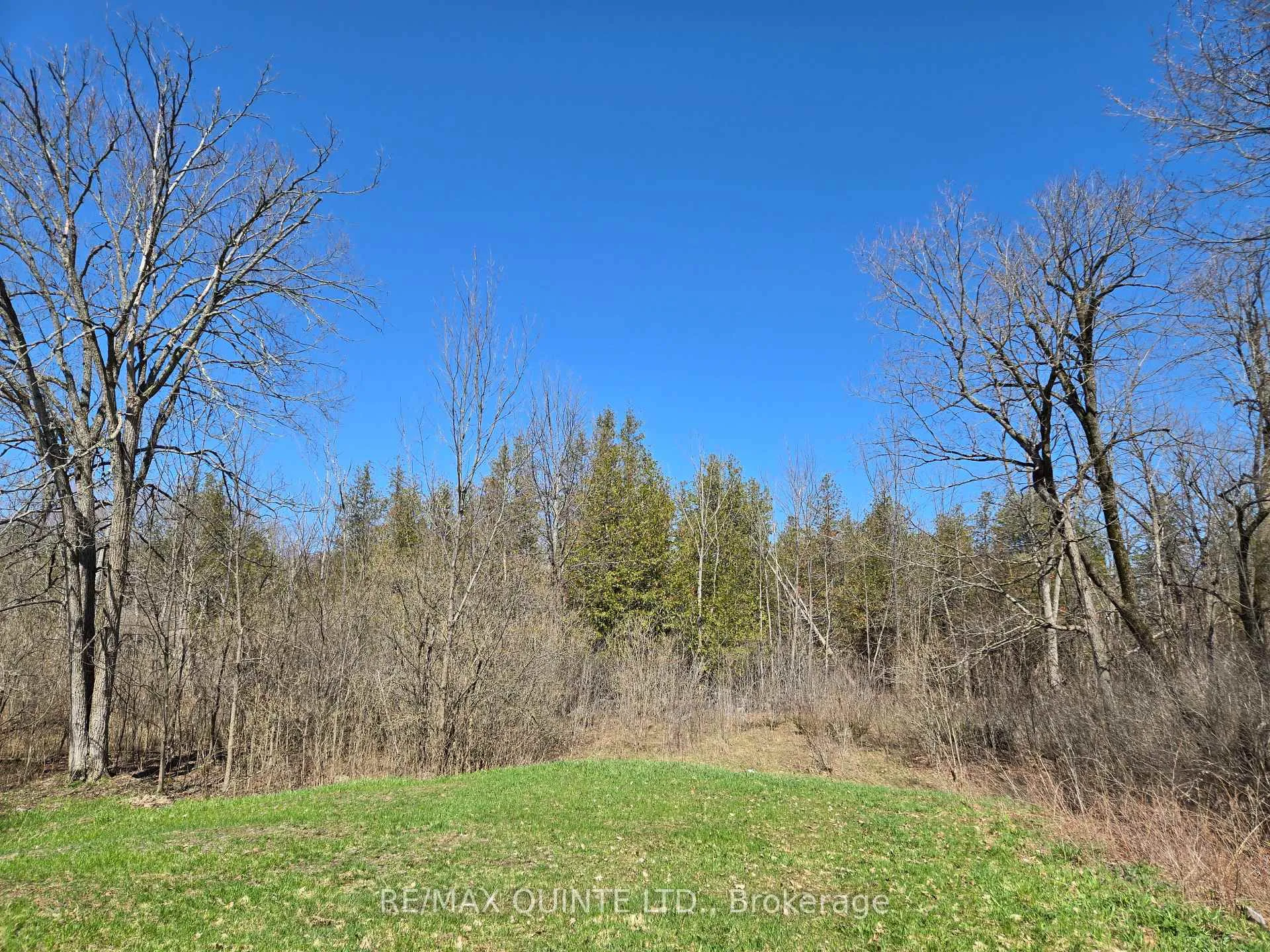 Photo 35 of 20 Thompson Road, Centre Hastings — HOMEH