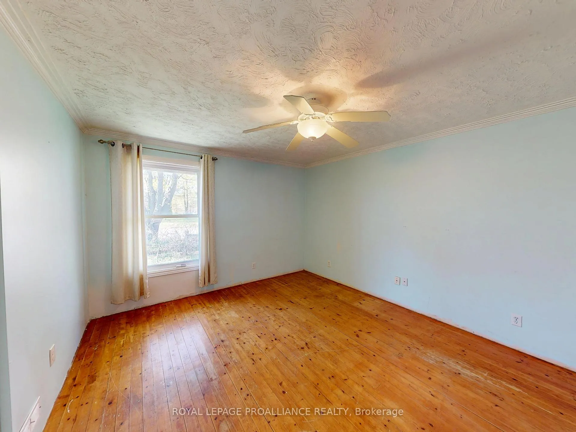 Photo 14 of 138 Massassauga Road, Prince Edward County, Ameliasburg Ward — HOMEH
