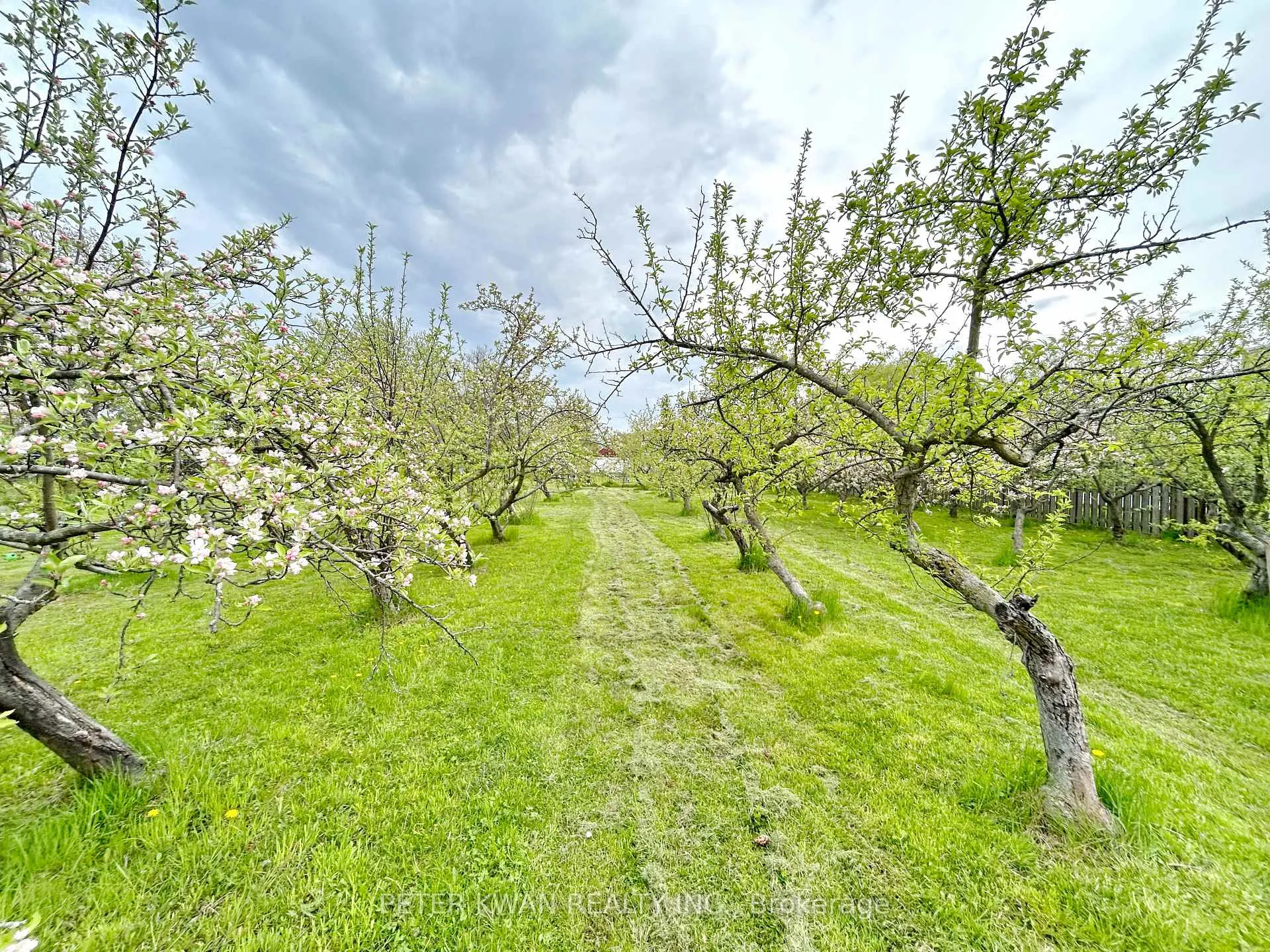 Photo 26 of 4977 John Street, Lincoln, Beamsville — HOMEH