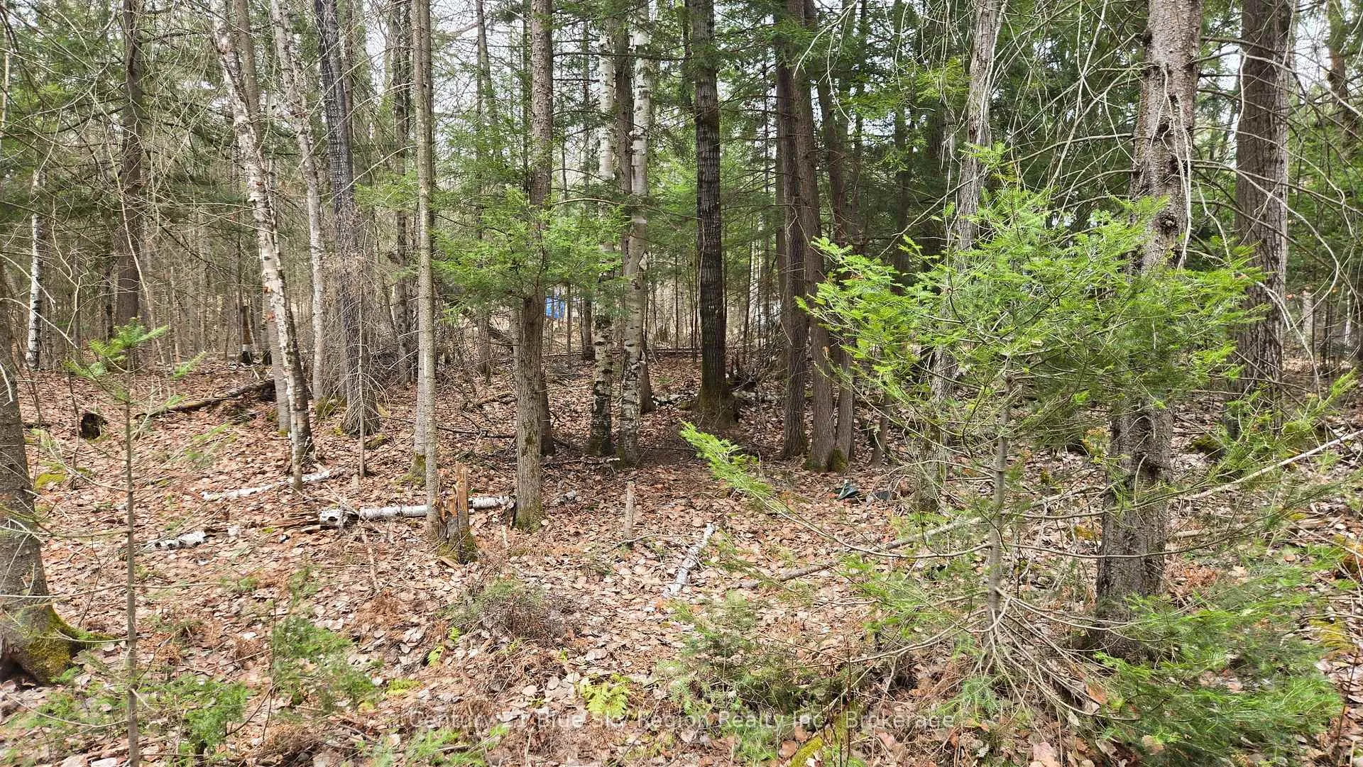 Photo 2 of 149 Pine Lake Road, Bonfield — HOMEH