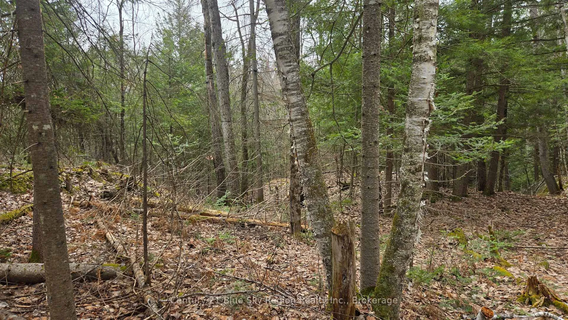Photo 3 of 149 Pine Lake Road, Bonfield — HOMEH