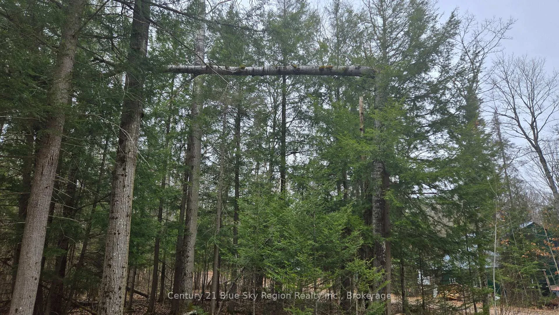 Photo 4 of 149 Pine Lake Road, Bonfield — HOMEH