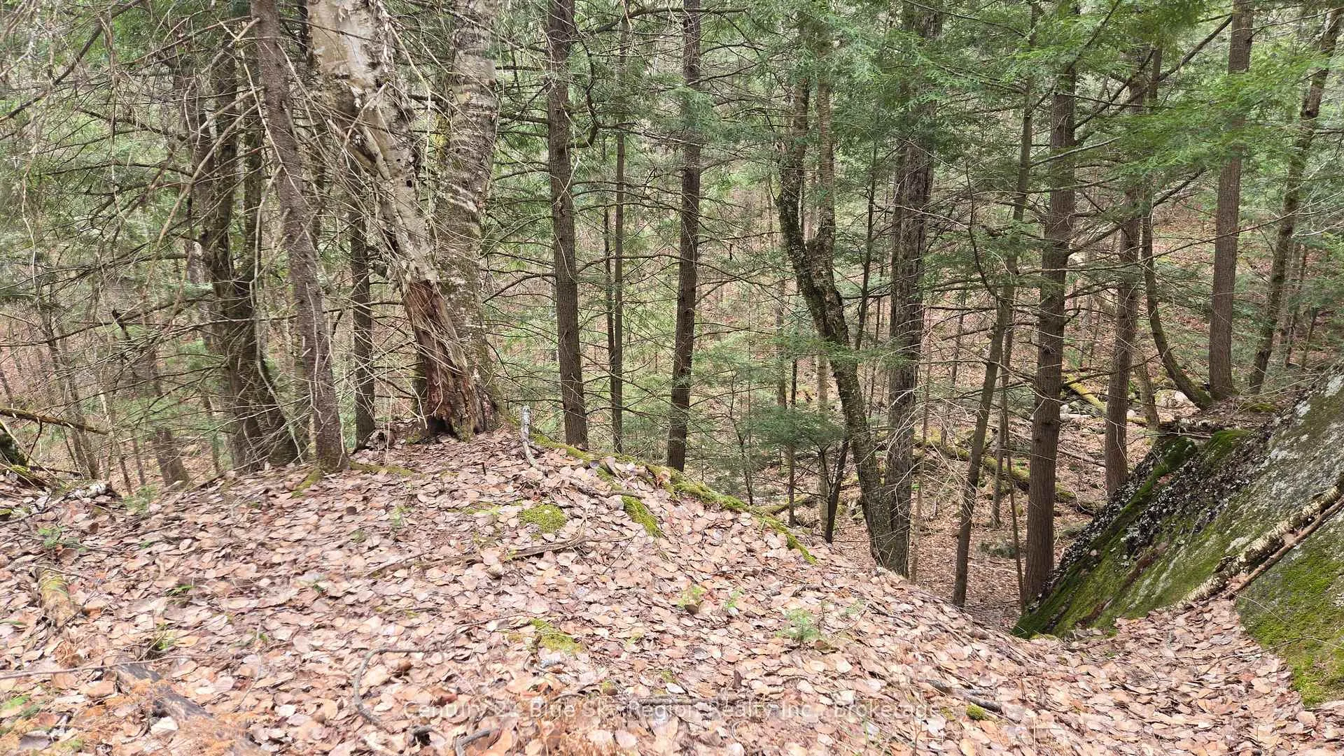 Photo 5 of 149 Pine Lake Road, Bonfield — HOMEH