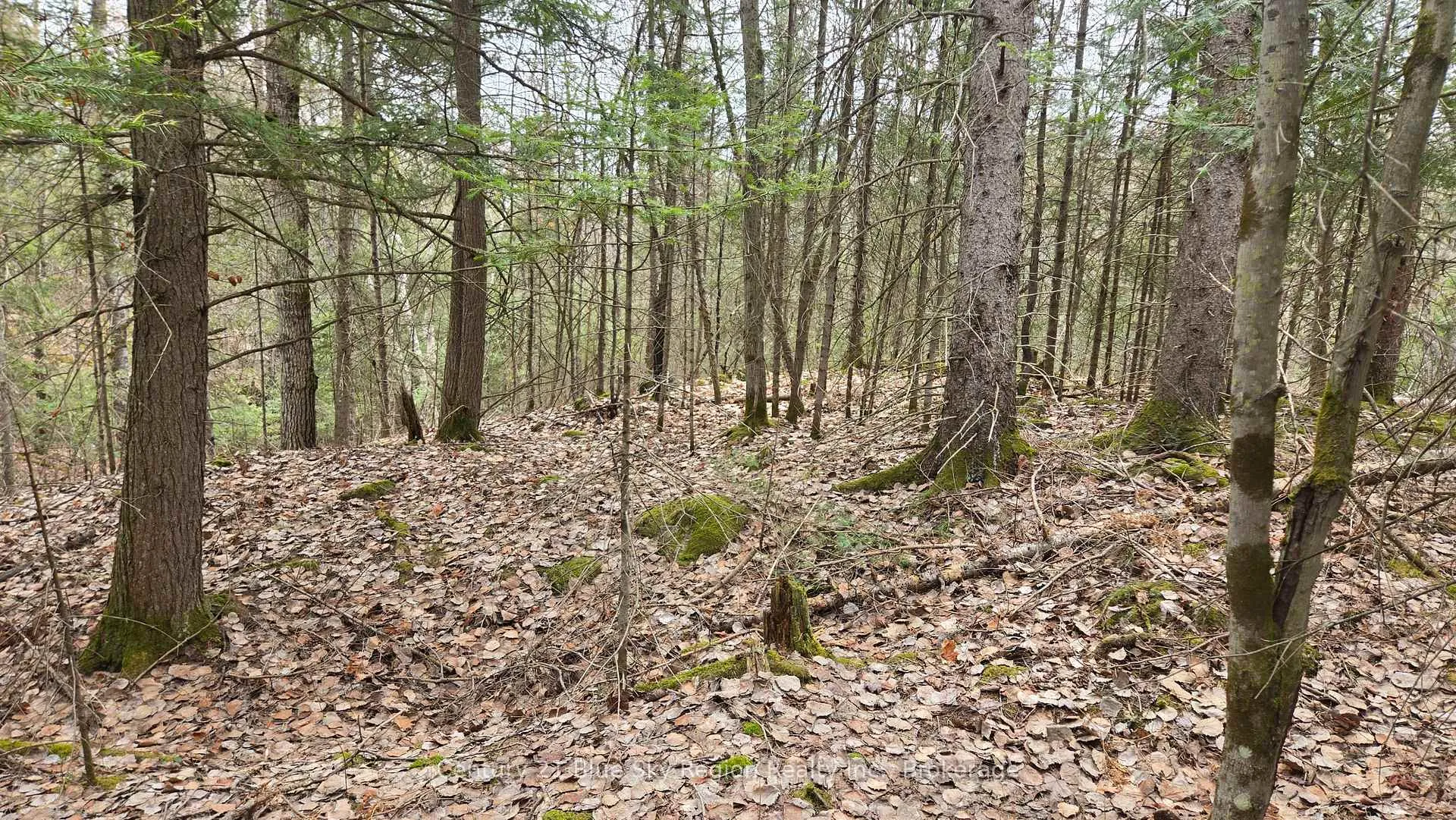 Photo 10 of 149 Pine Lake Road, Bonfield — HOMEH