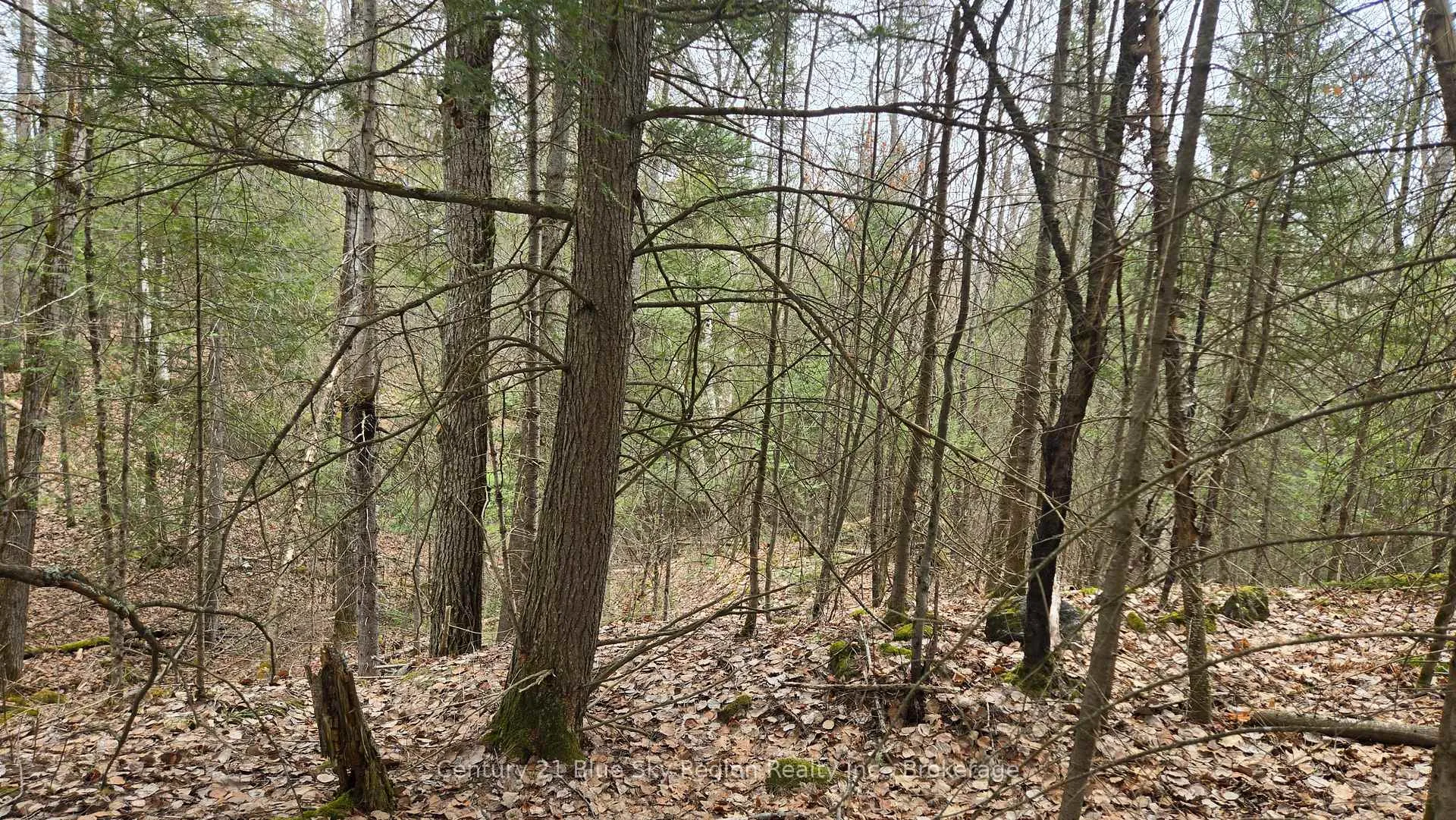 Photo 11 of 149 Pine Lake Road, Bonfield — HOMEH