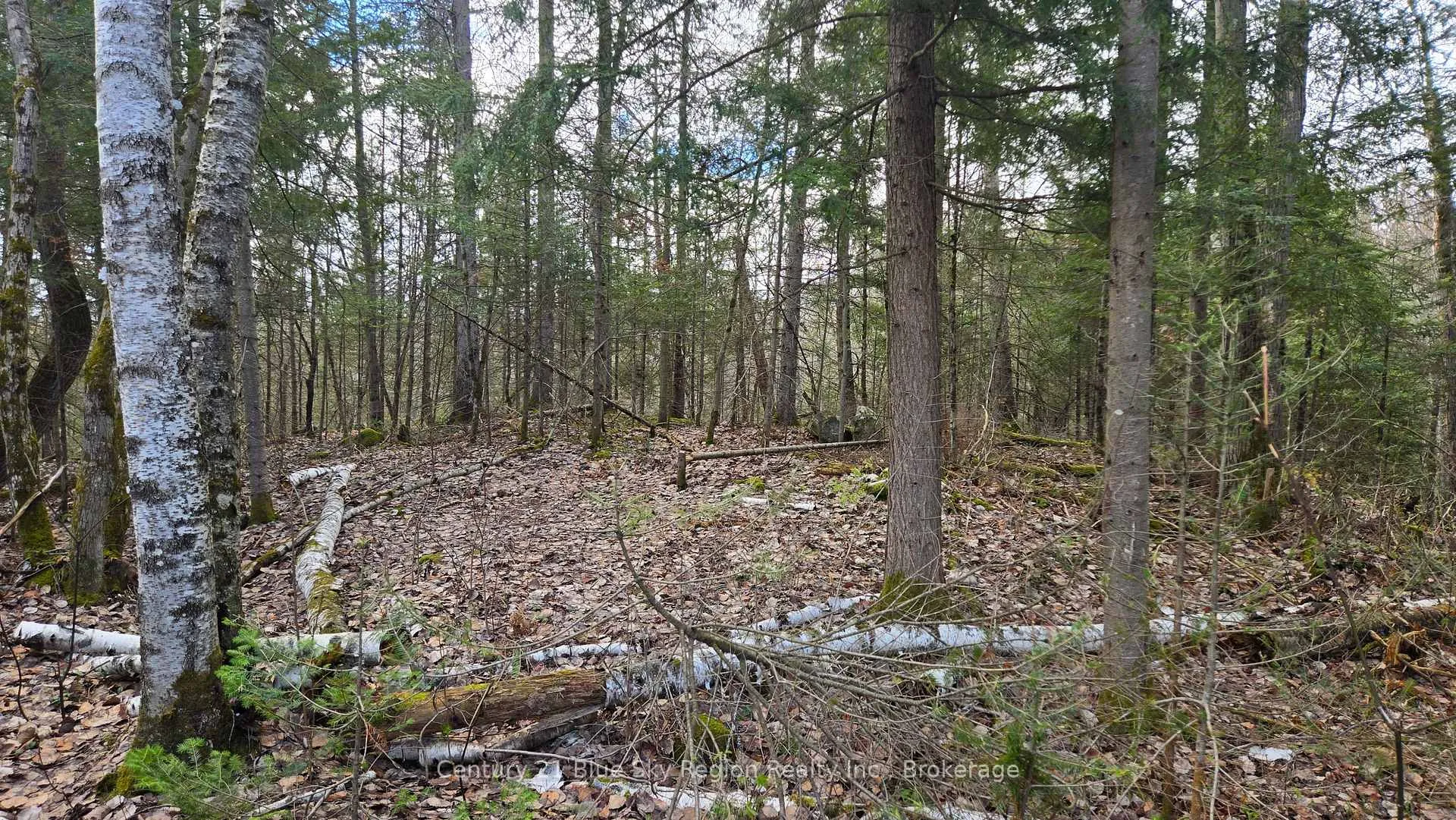 Photo 12 of 149 Pine Lake Road, Bonfield — HOMEH