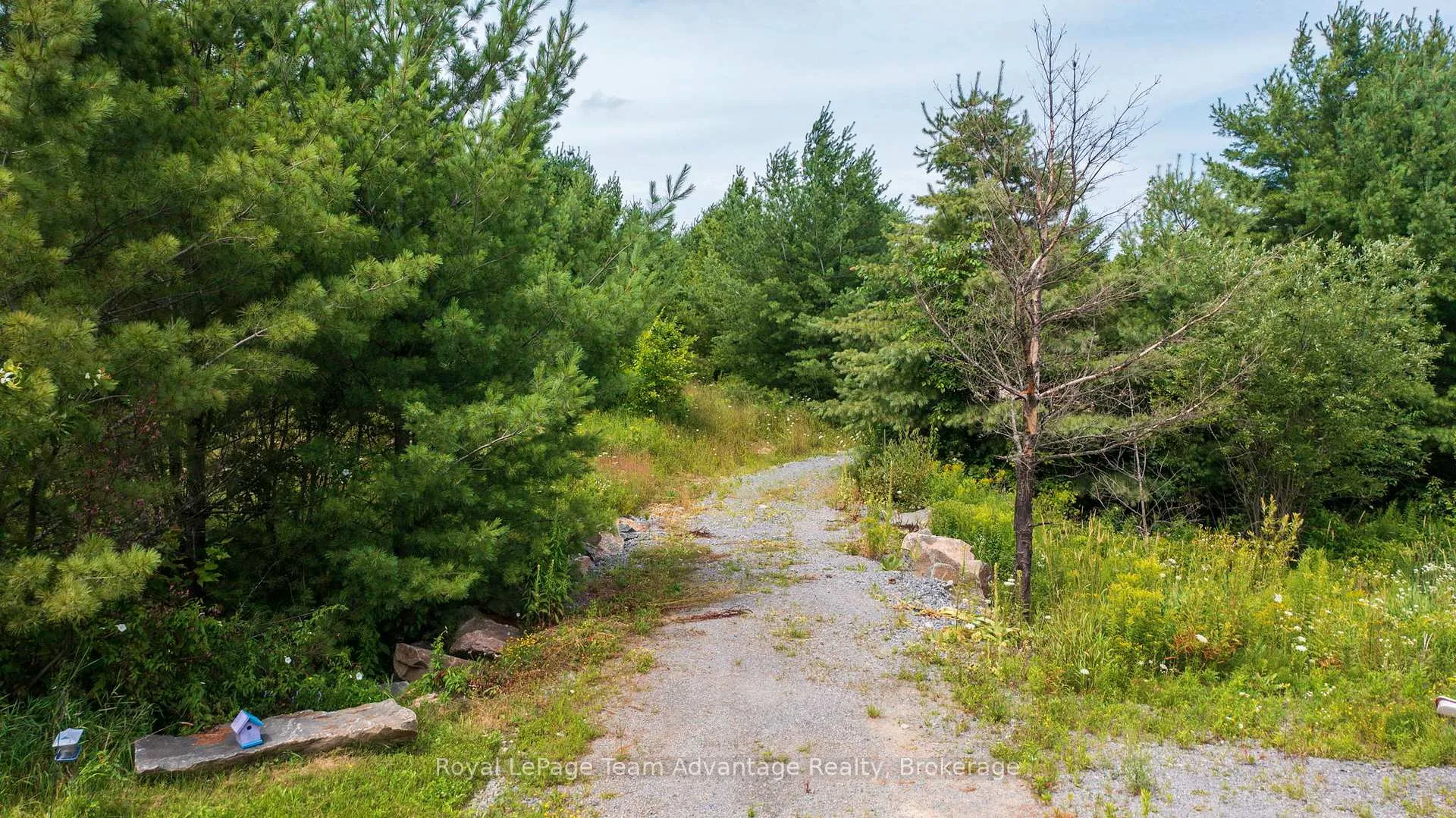 Photo 9 of 732 124 Highway, McKellar — HOMEH