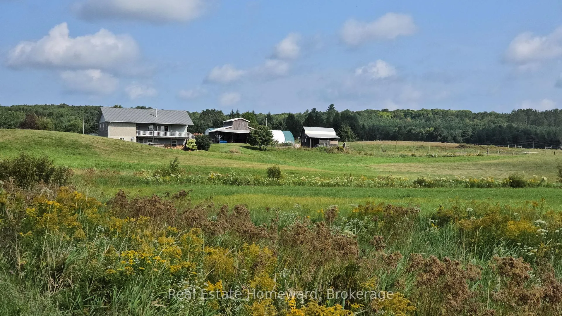 Photo 37 of 771 Leggetts Road, Armour — HOMEH