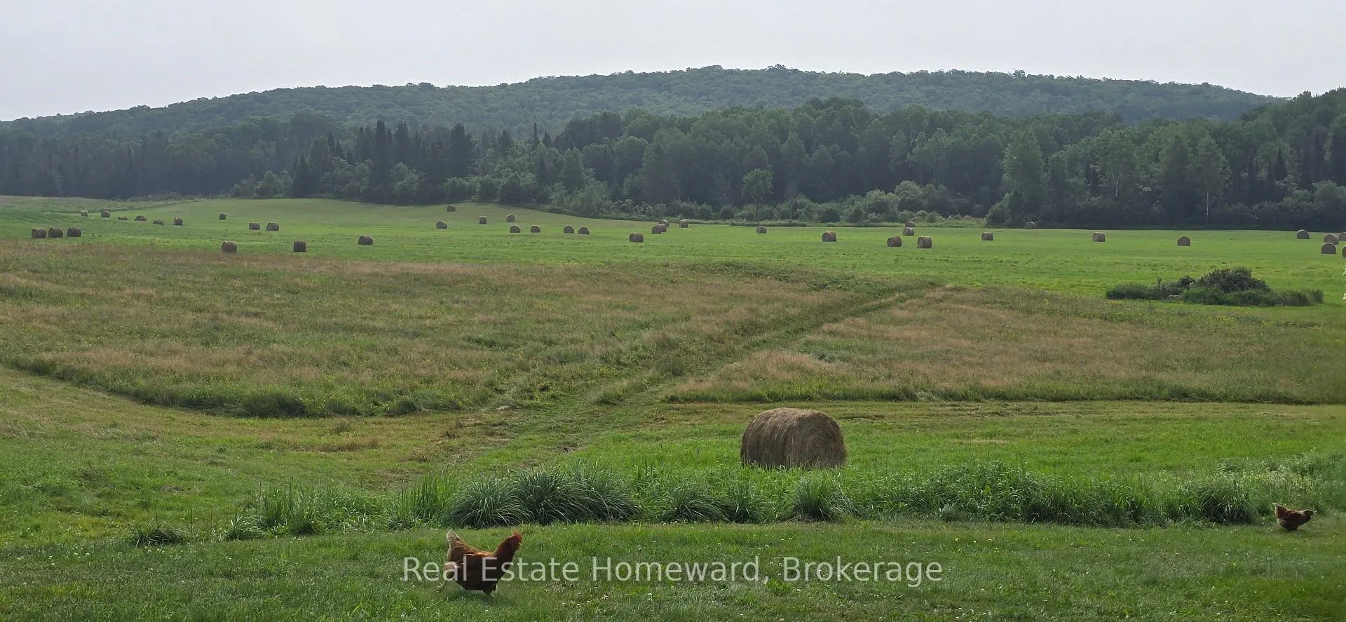 Photo 42 of 771 Leggetts Road, Armour — HOMEH