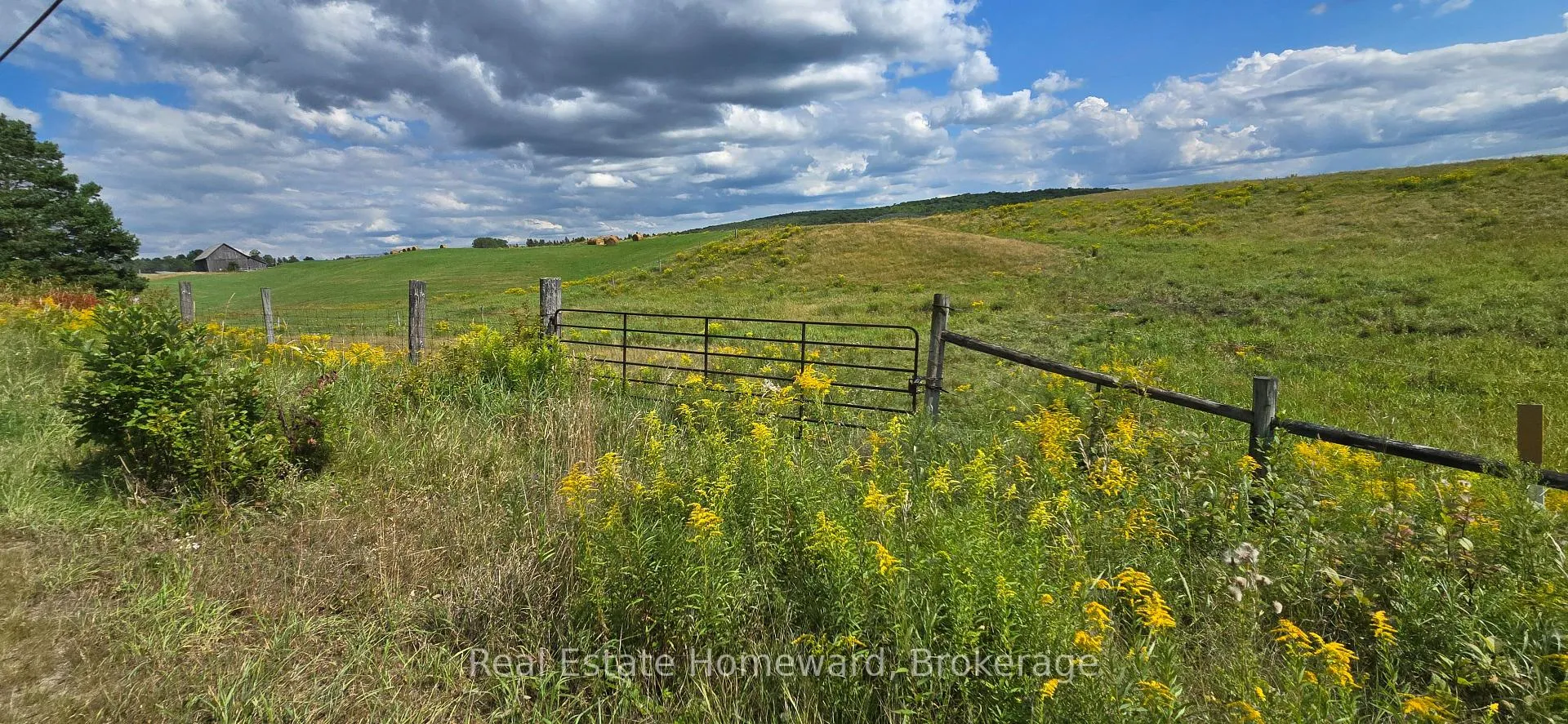 Photo 38 of 771 Leggetts Road, Armour — HOMEH