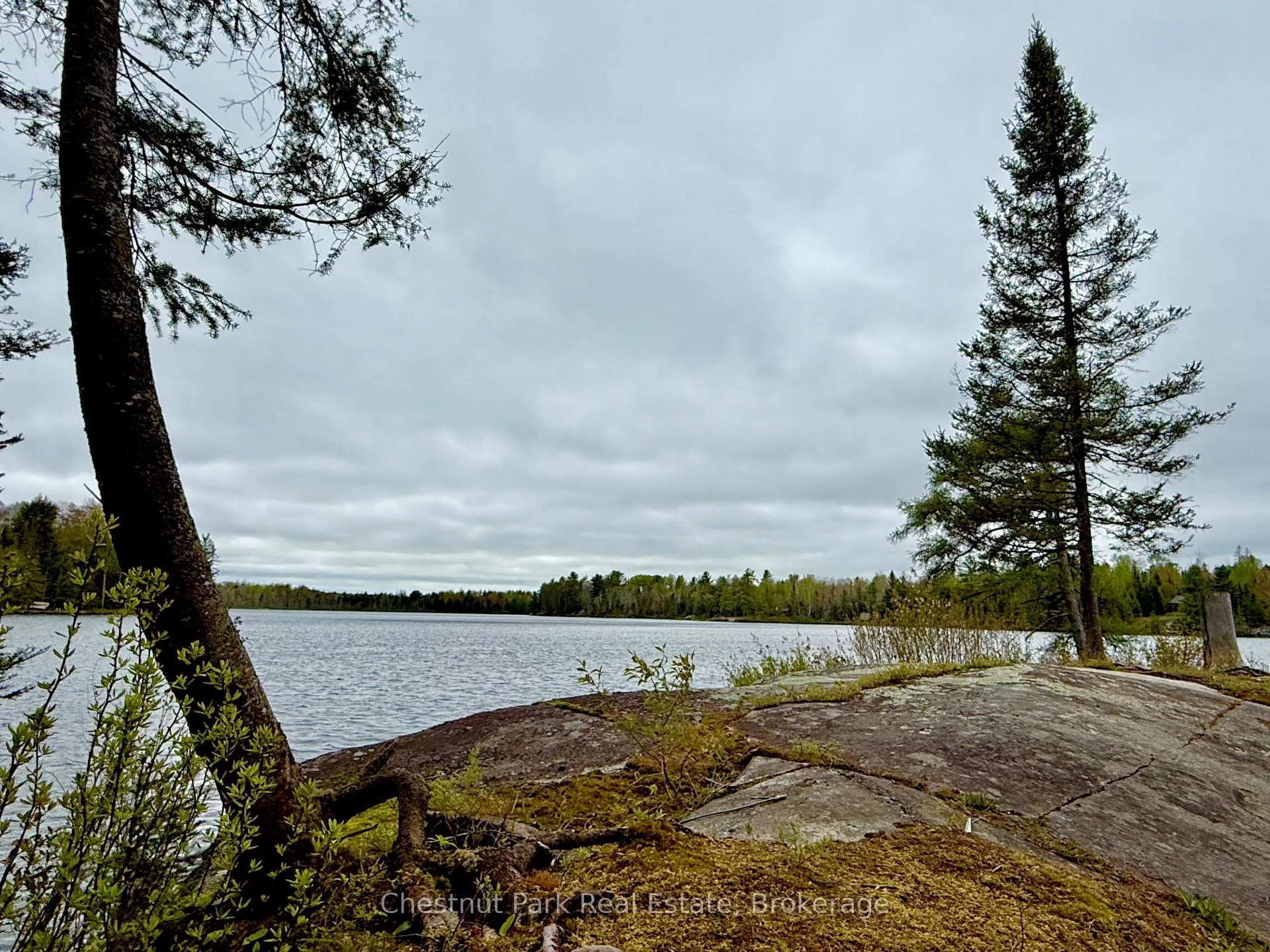 Photo 2 of King Lake, Machar — HOMEH