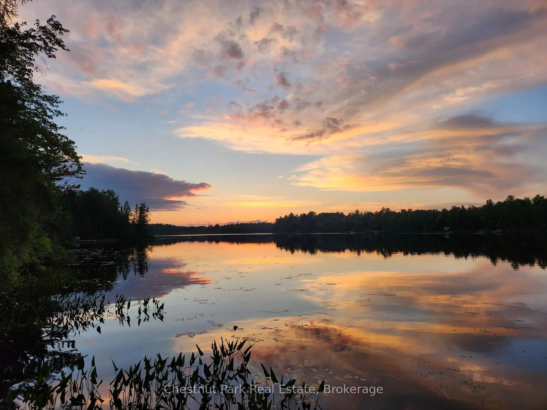 Photo 4 of King Lake, Machar — HOMEH