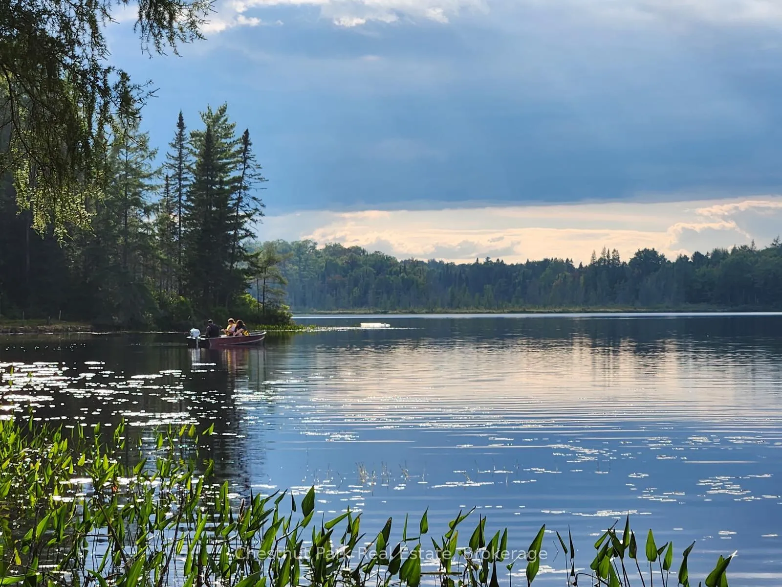 Photo 10 of King Lake, Machar — HOMEH