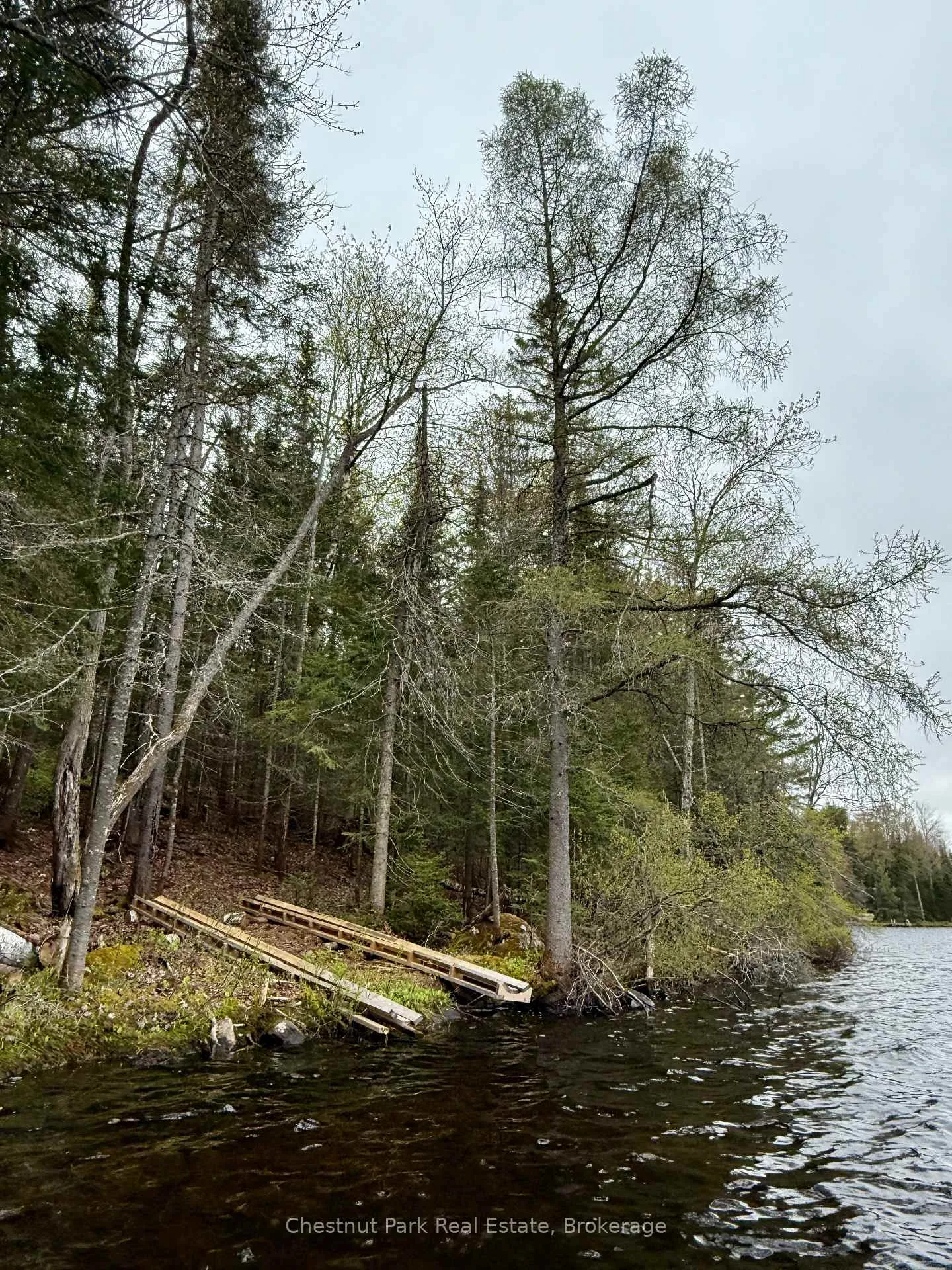 Photo 16 of King Lake, Machar — HOMEH