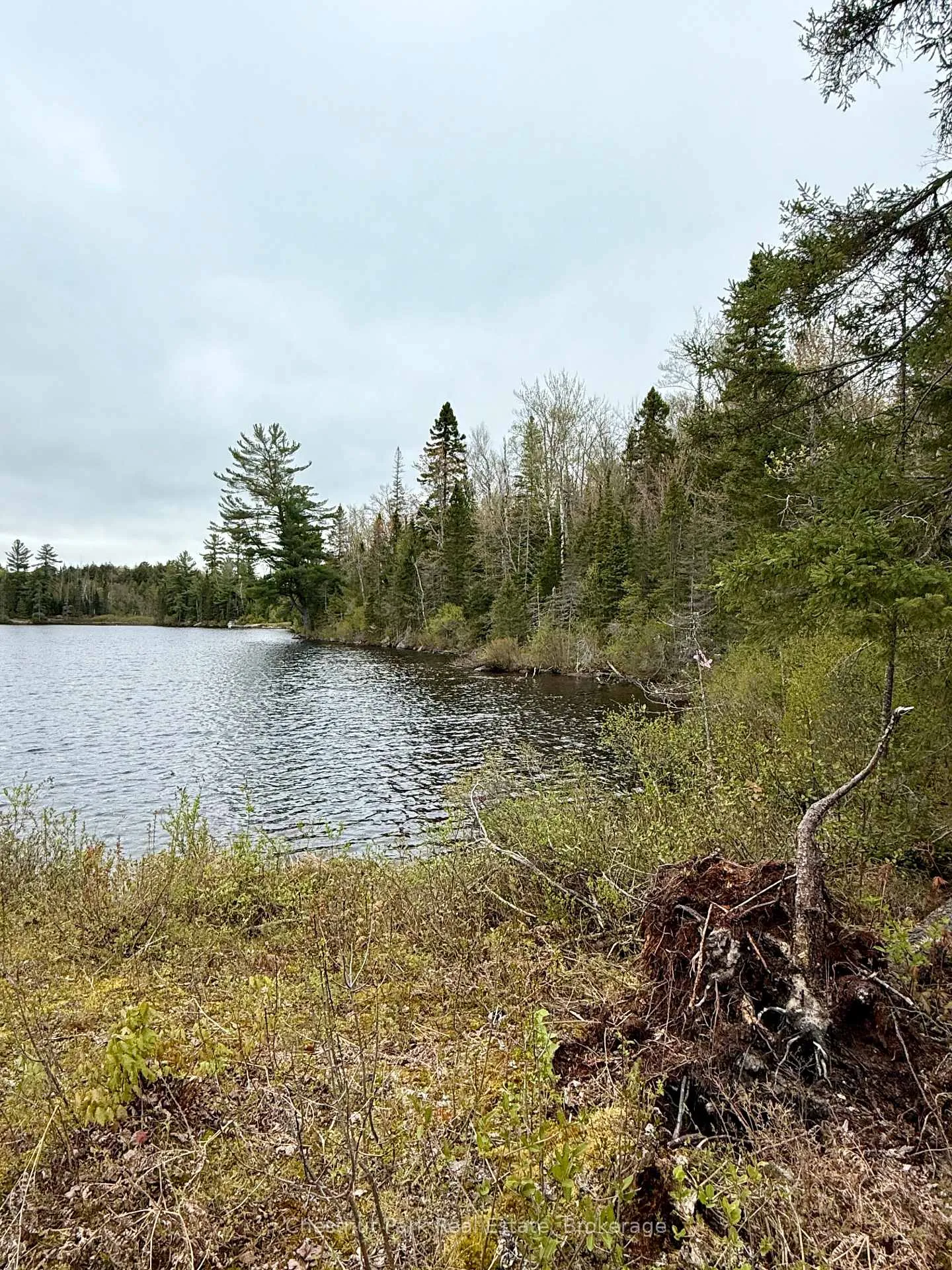 Photo 18 of King Lake, Machar — HOMEH