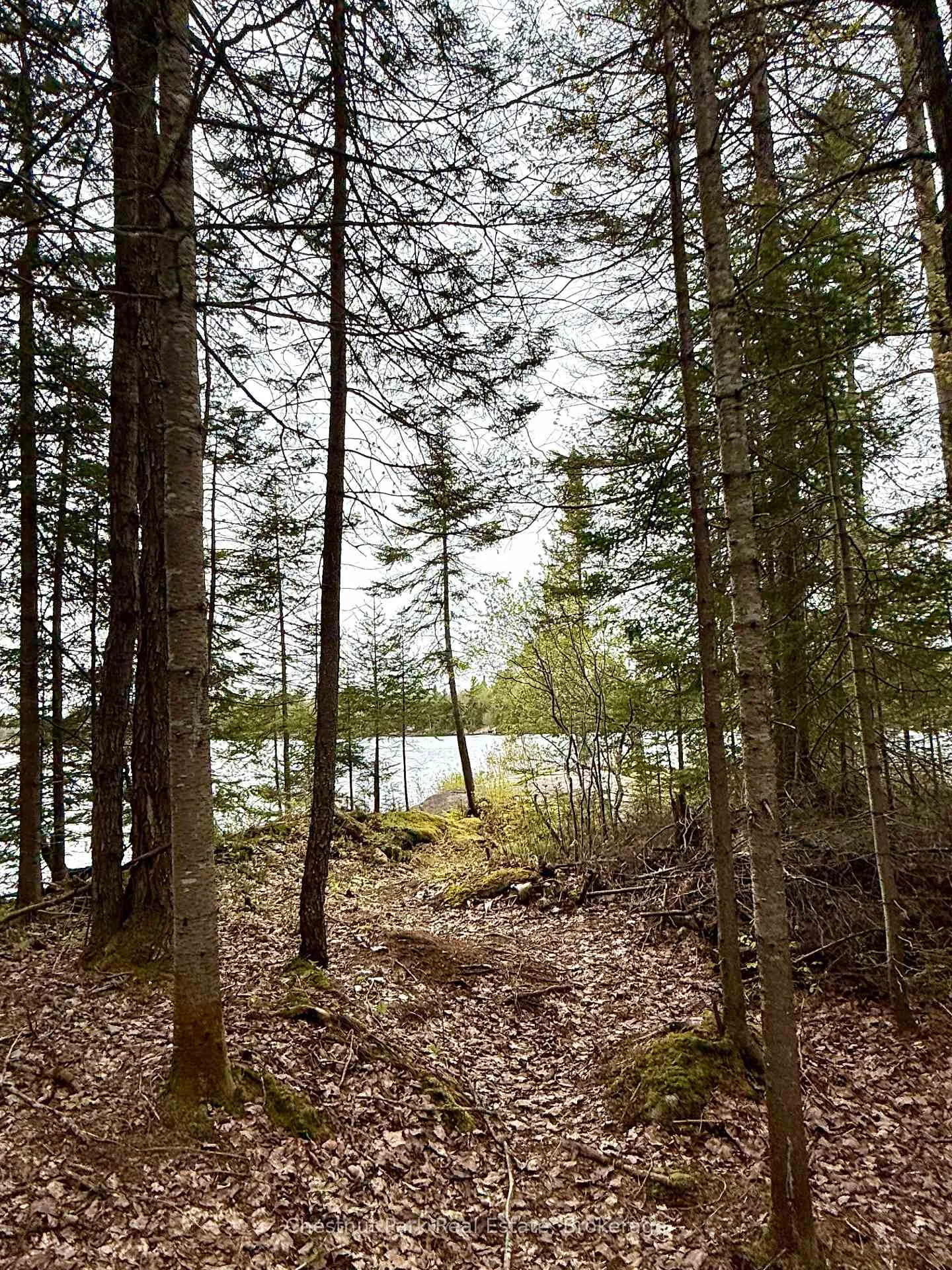 Photo 35 of King Lake, Machar — HOMEH