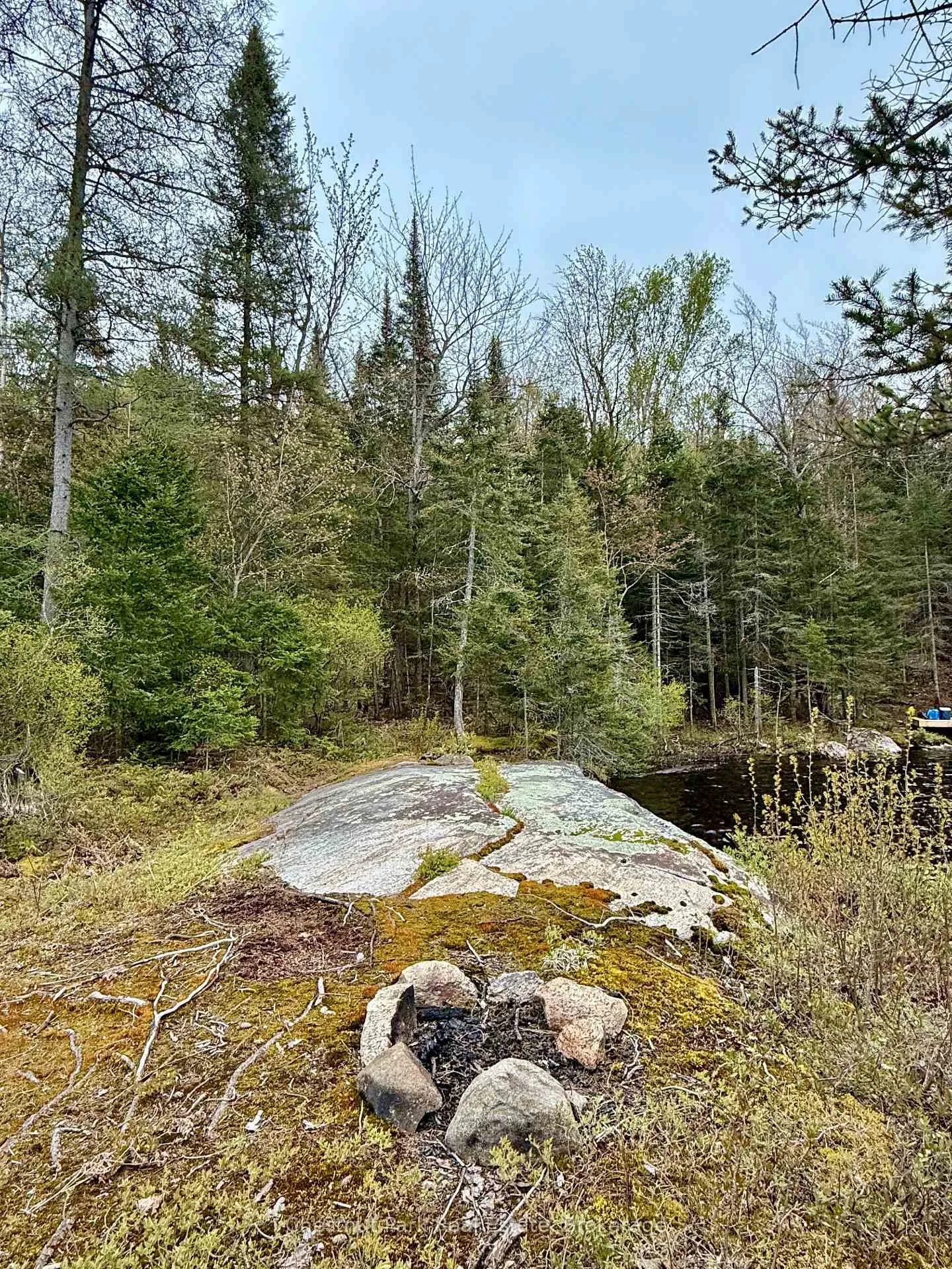 Photo 36 of King Lake, Machar — HOMEH