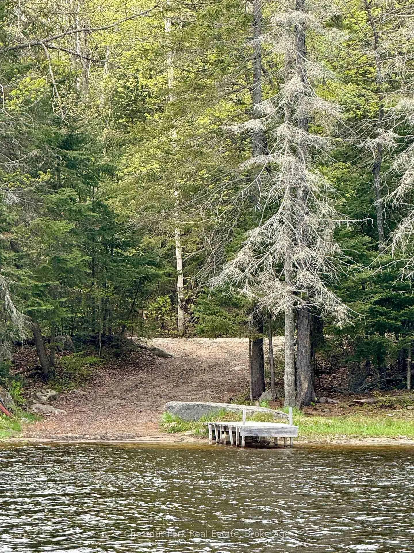 Photo 41 of King Lake, Machar — HOMEH