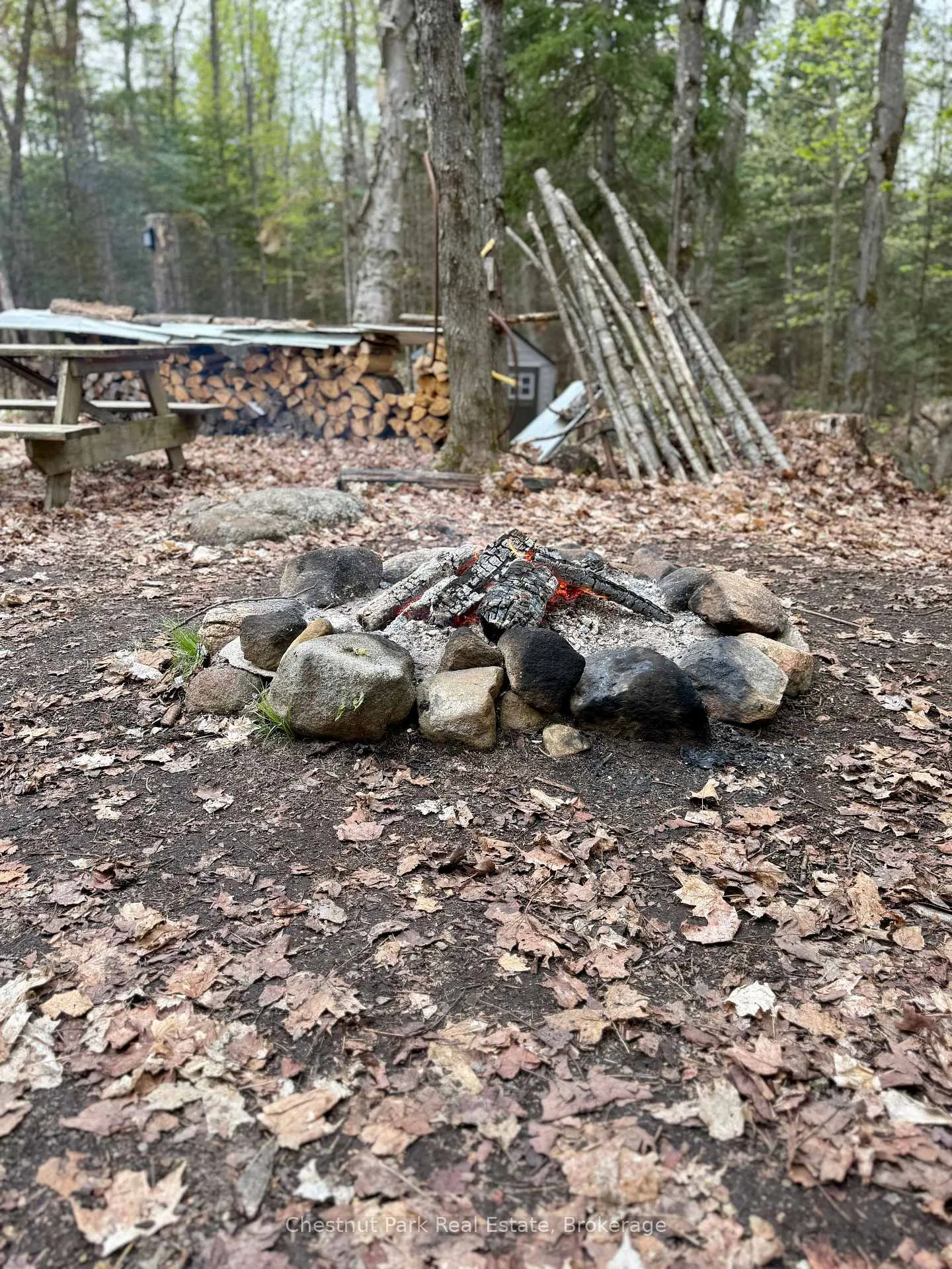 Photo 43 of King Lake, Machar — HOMEH
