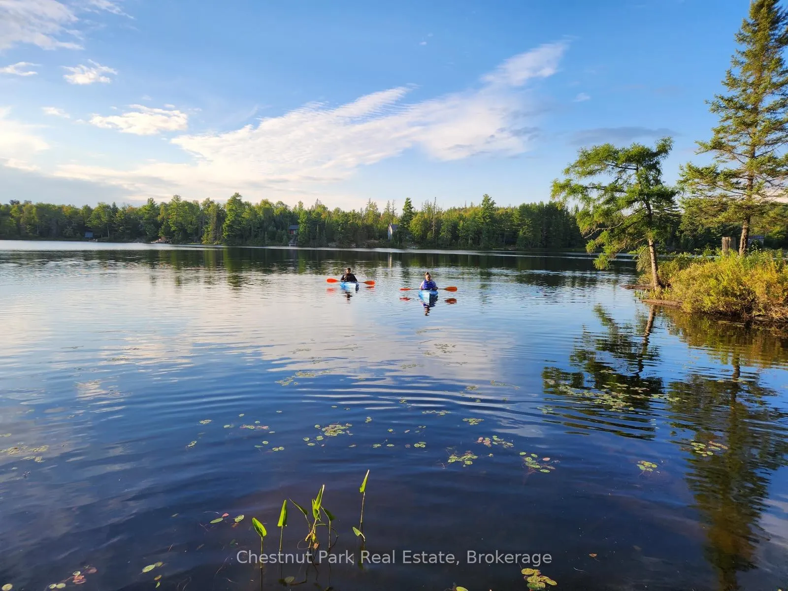 Photo 44 of King Lake, Machar — HOMEH