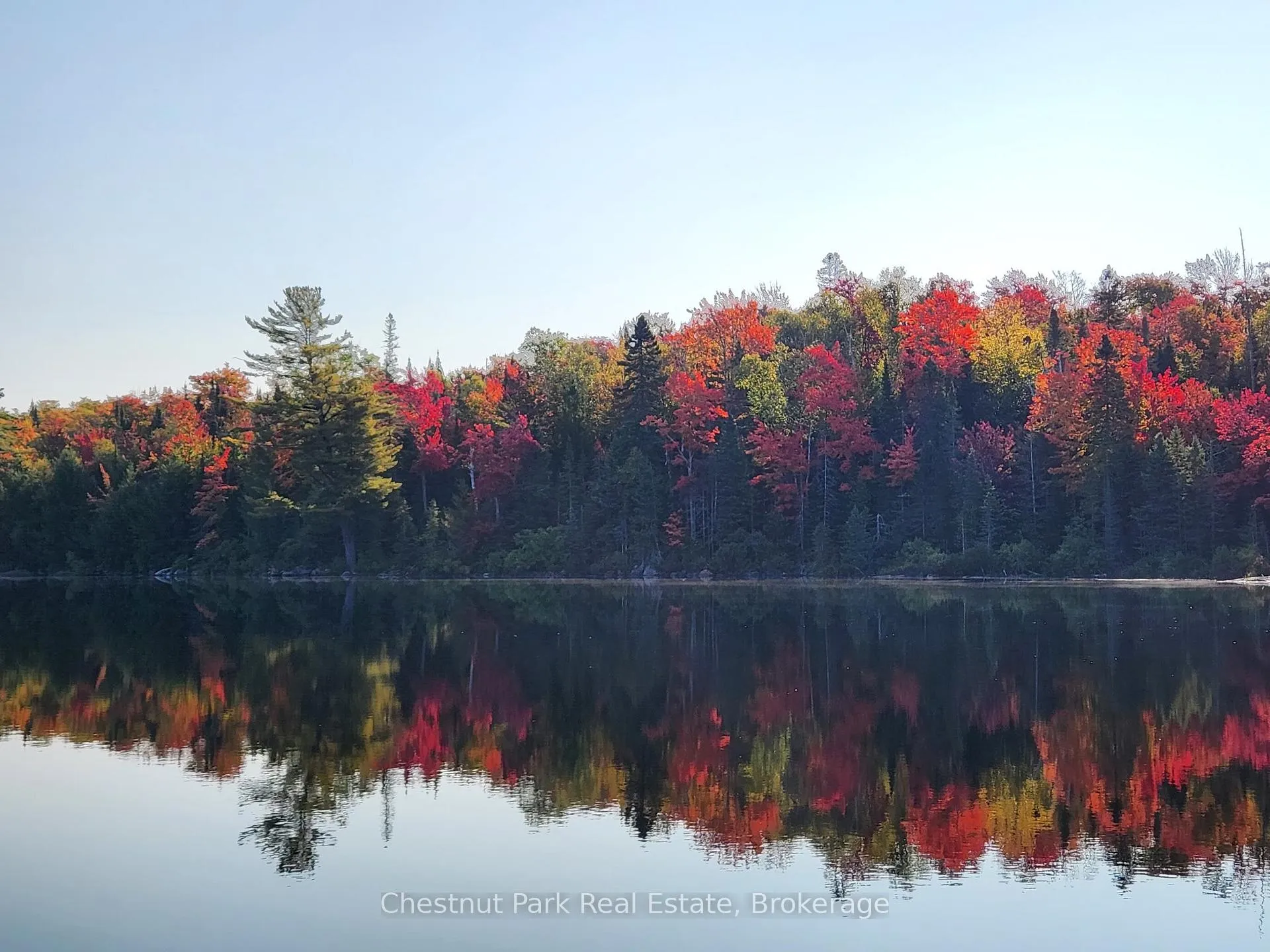 Photo 45 of King Lake, Machar — HOMEH