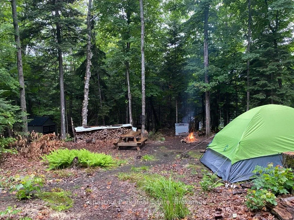 Photo 46 of King Lake, Machar — HOMEH