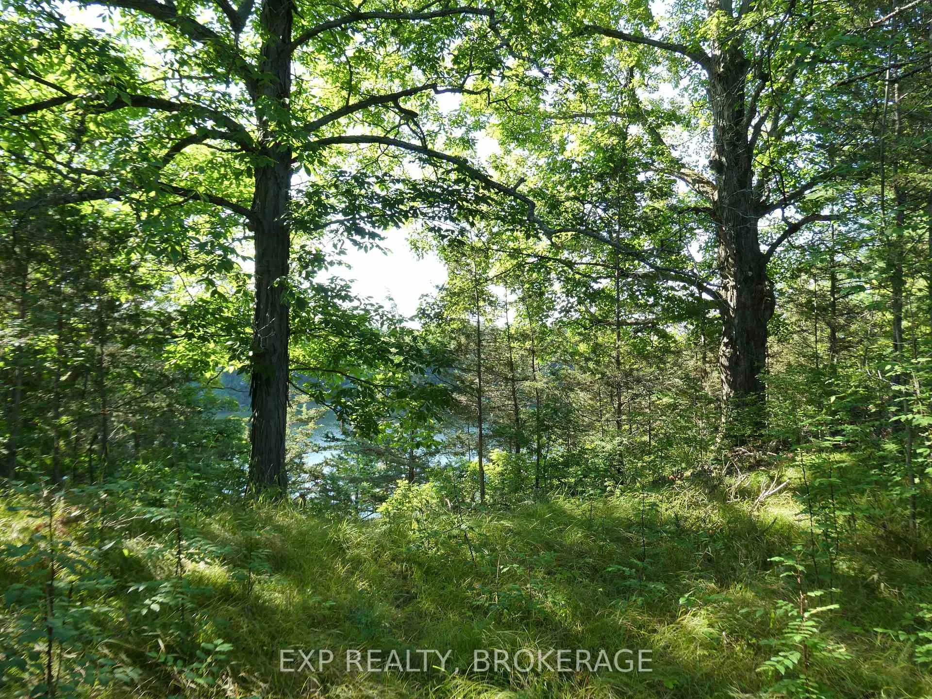 Photo 34 of PT LT 5 CON 4 James Wilson Road, Frontenac, Frontenac South — HOMEH