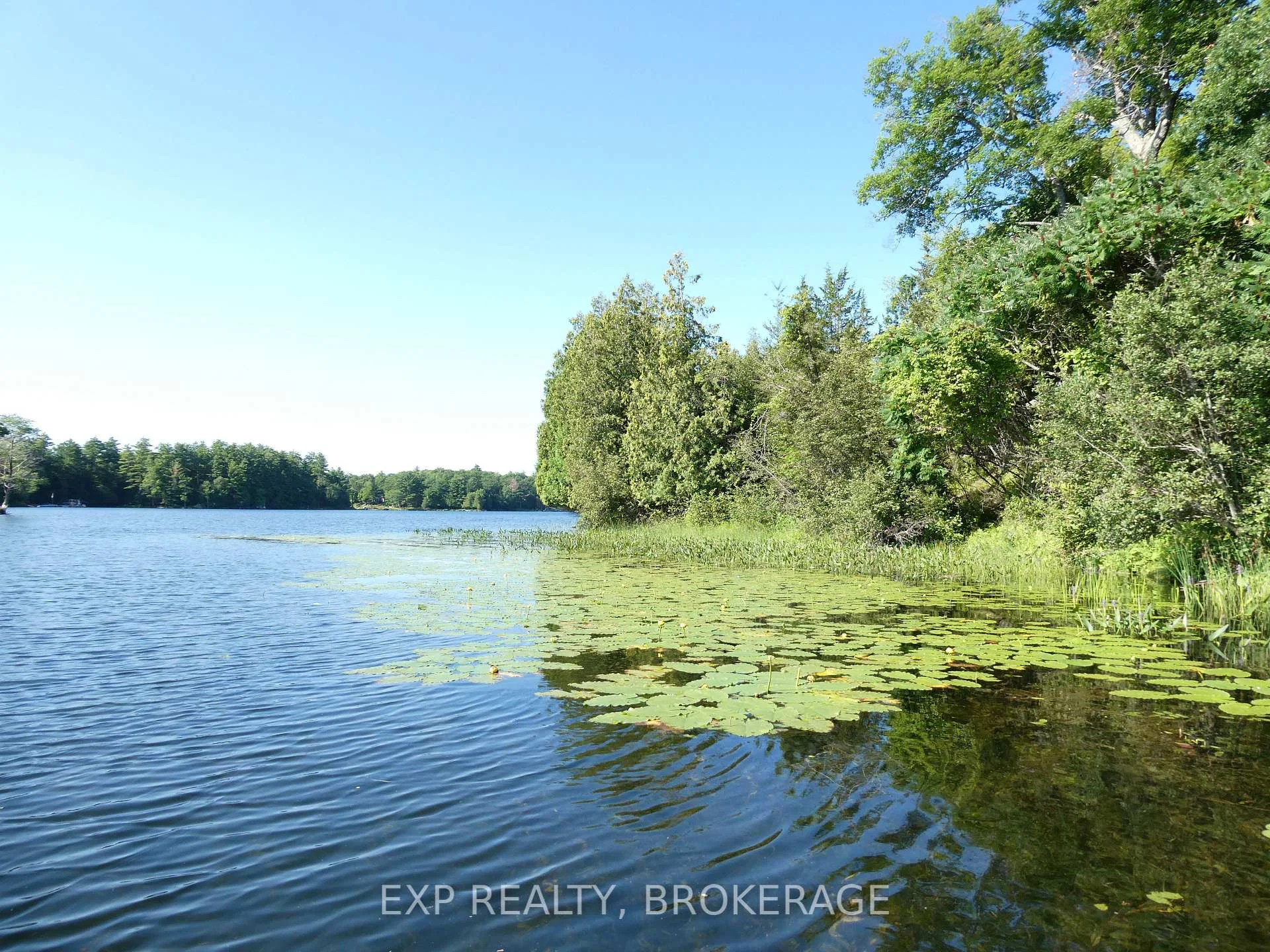 Photo 36 of PT LT 5 CON 4 James Wilson Road, Frontenac, Frontenac South — HOMEH