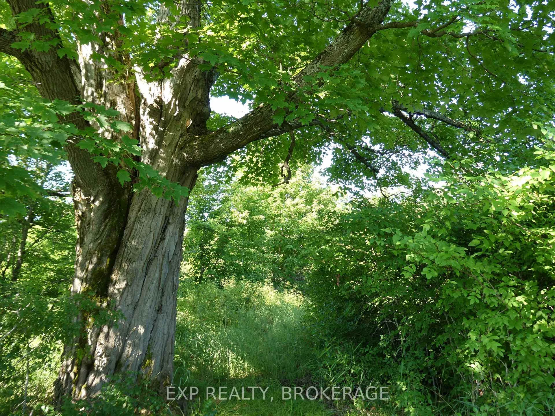 Photo 45 of PT LT 5 CON 4 James Wilson Road, Frontenac, Frontenac South — HOMEH
