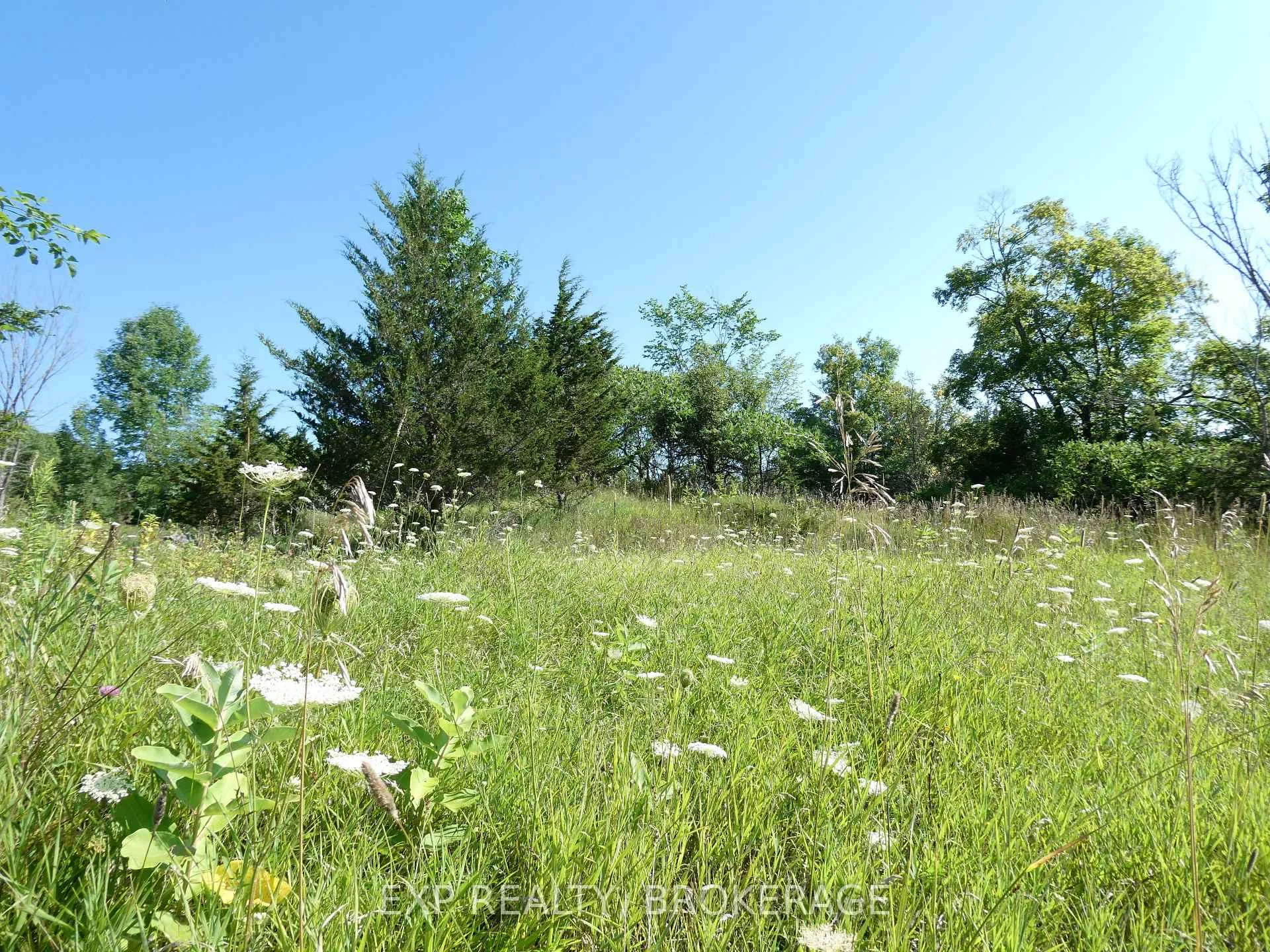 Photo 47 of PT LT 5 CON 4 James Wilson Road, Frontenac, Frontenac South — HOMEH