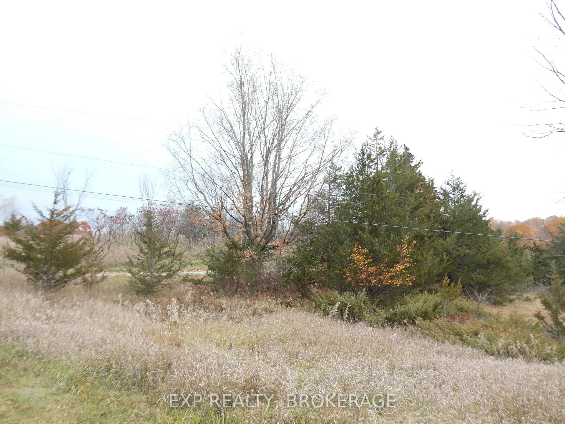 Photo 4 of PT LT 5 CON 4 James Wilson Road, Frontenac, Frontenac South — HOMEH