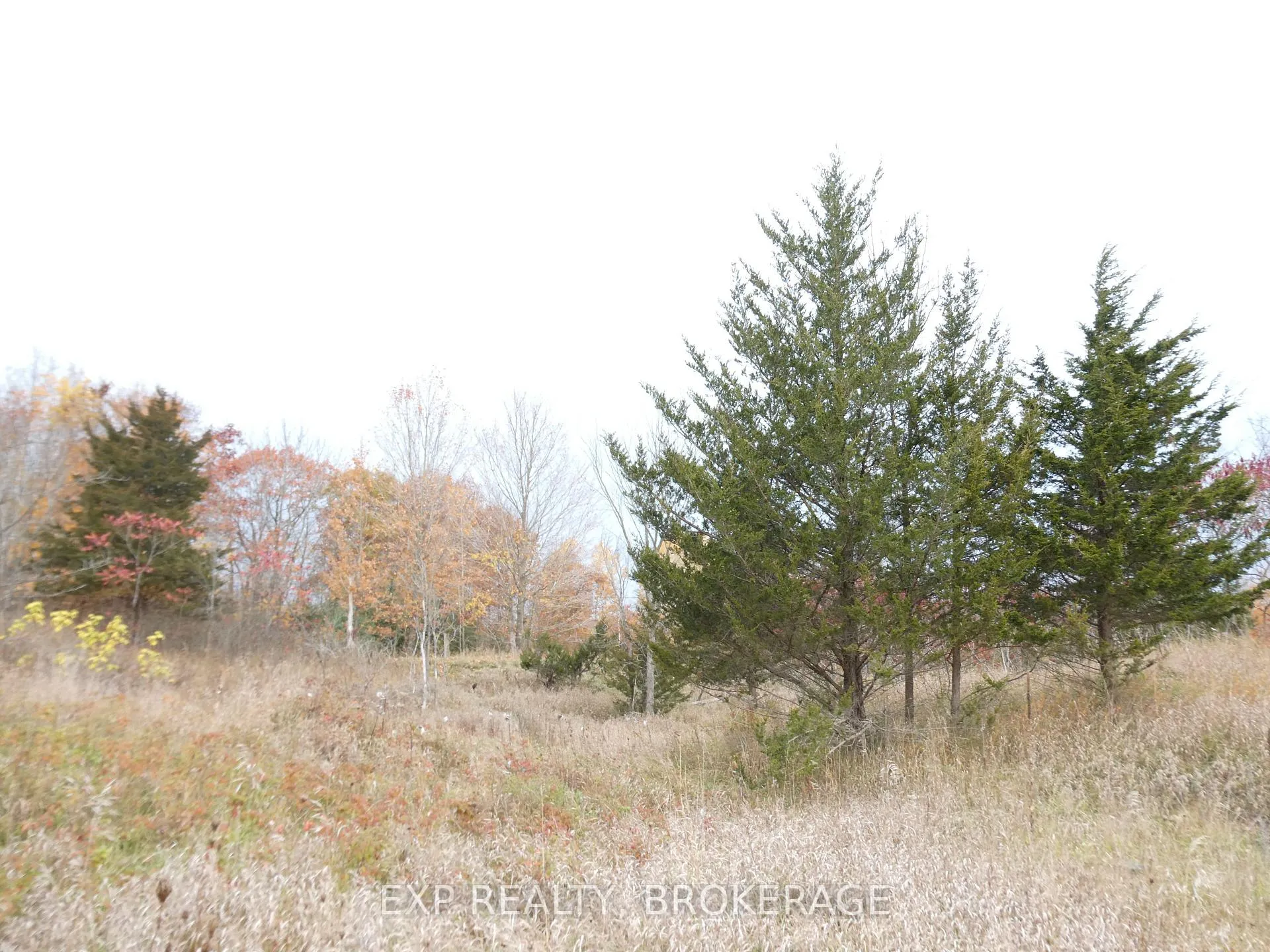 Photo 5 of PT LT 5 CON 4 James Wilson Road, Frontenac, Frontenac South — HOMEH