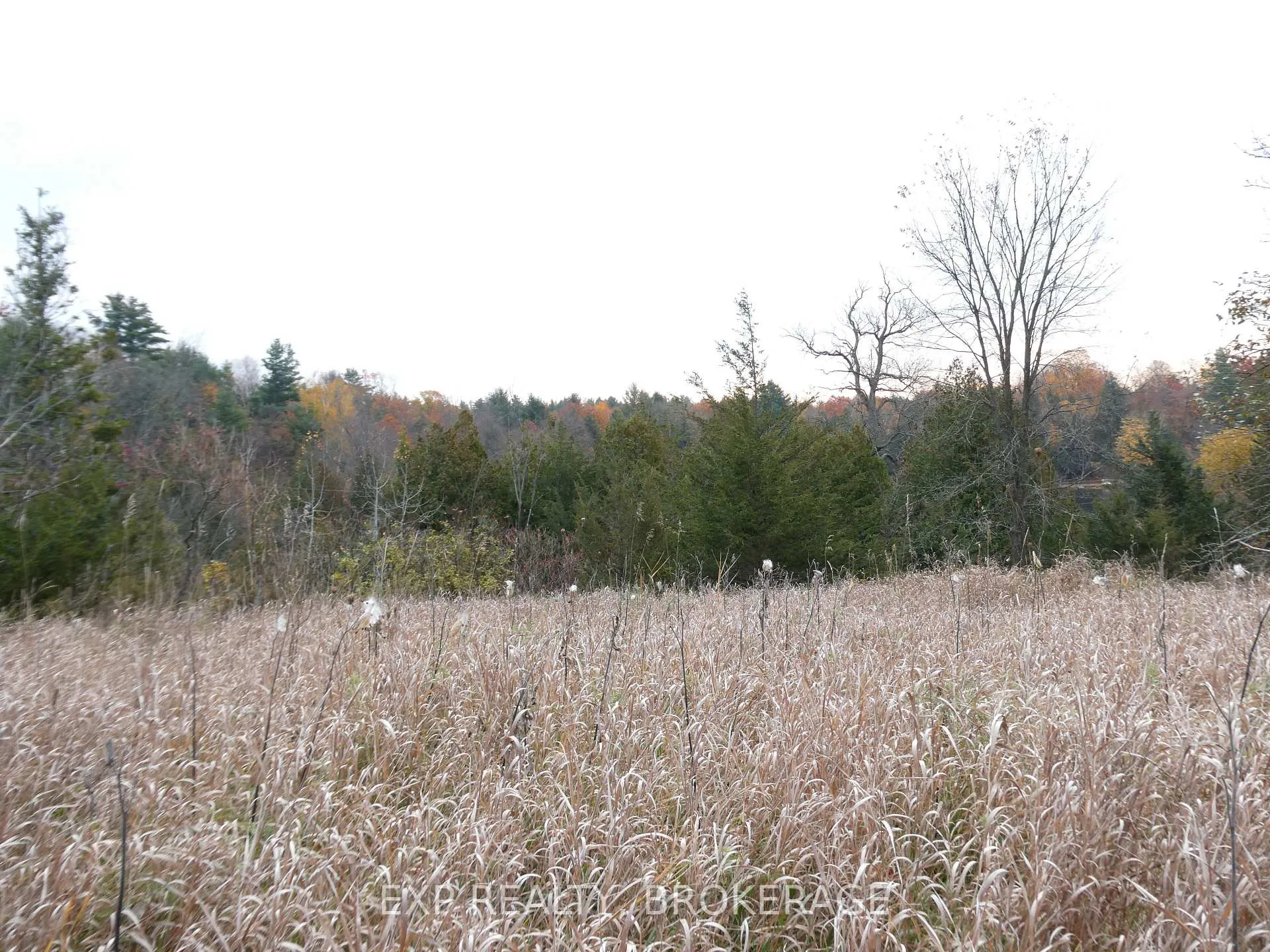 Photo 6 of PT LT 5 CON 4 James Wilson Road, Frontenac, Frontenac South — HOMEH