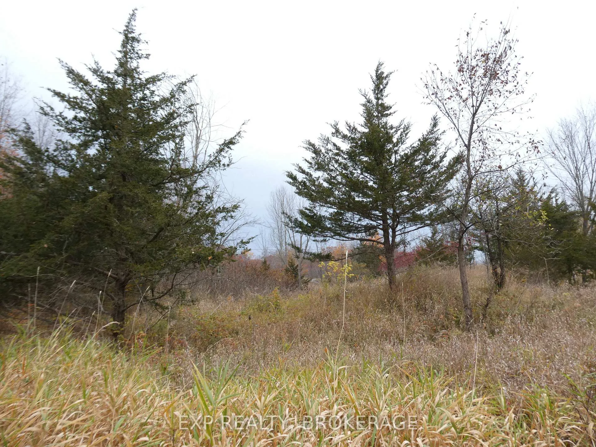 Photo 7 of PT LT 5 CON 4 James Wilson Road, Frontenac, Frontenac South — HOMEH
