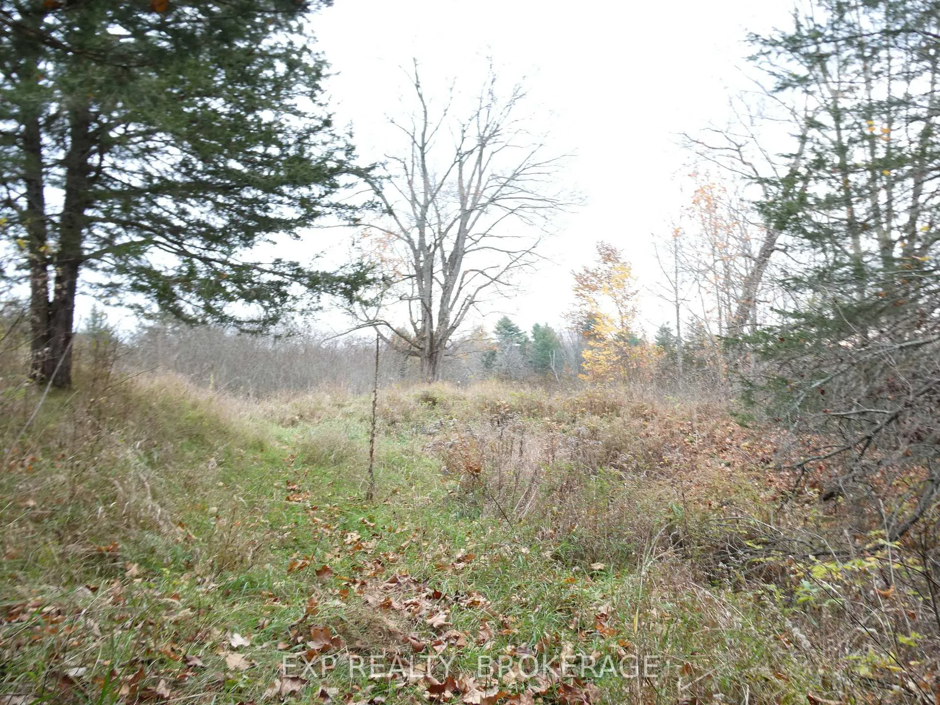 Photo 8 of PT LT 5 CON 4 James Wilson Road, Frontenac, Frontenac South — HOMEH