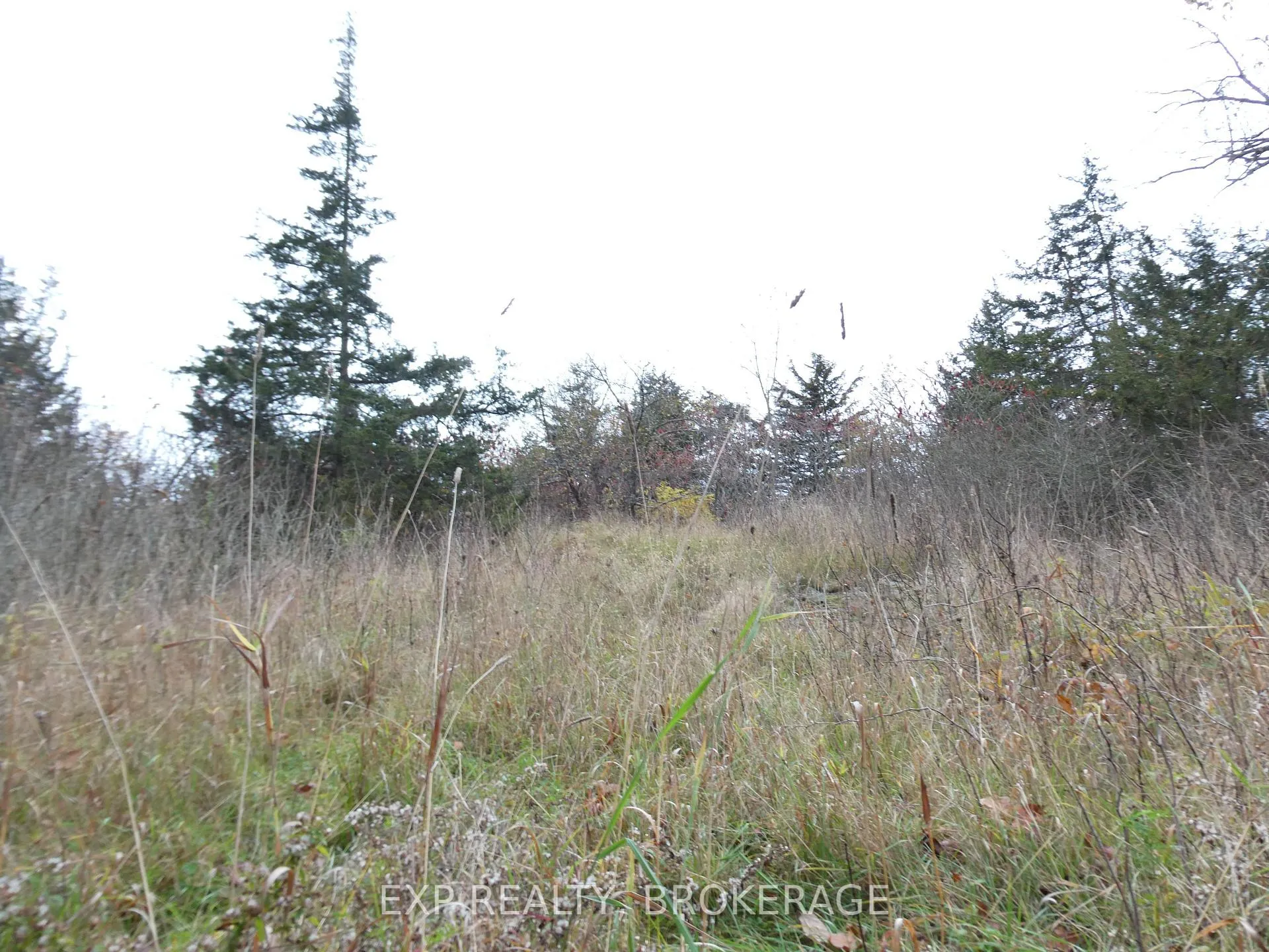 Photo 9 of PT LT 5 CON 4 James Wilson Road, Frontenac, Frontenac South — HOMEH